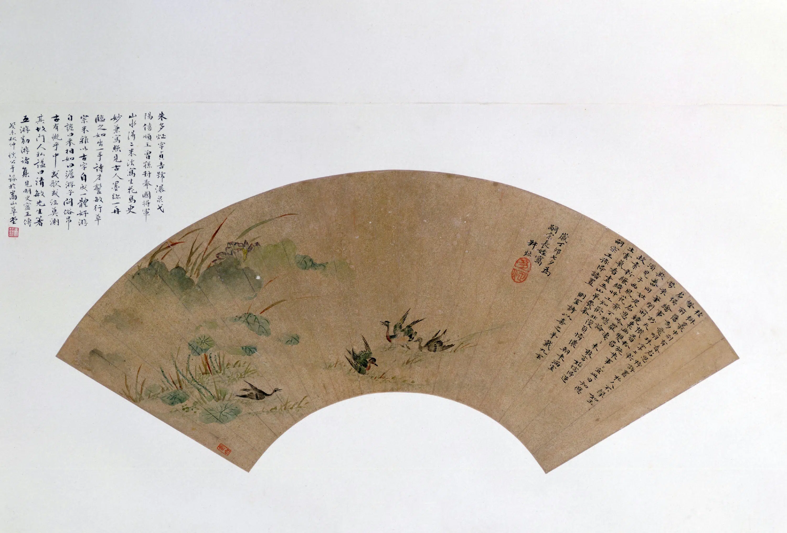 明朝【朱多炡】《荷花野凫图扇页》
