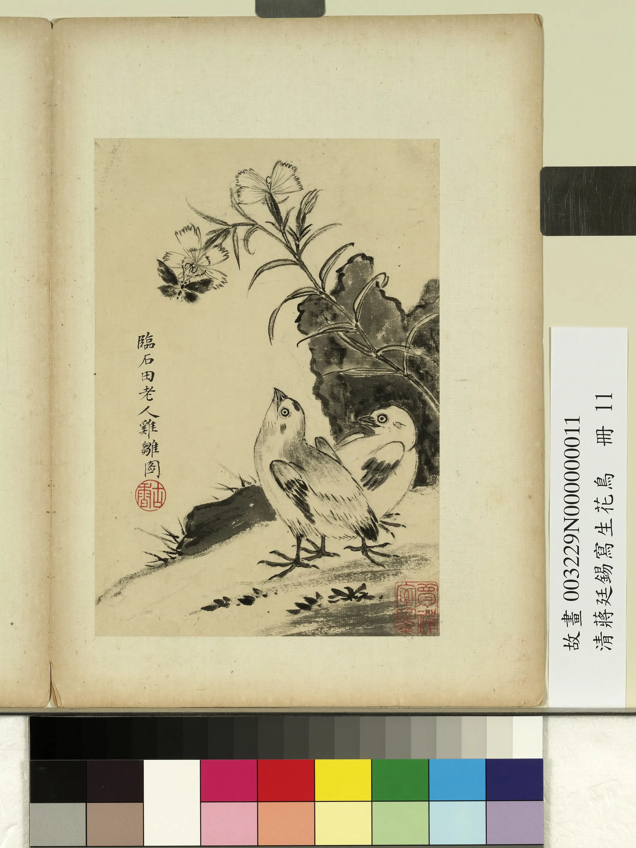 清代【蒋廷锡】《写生花鸟册》 第12张