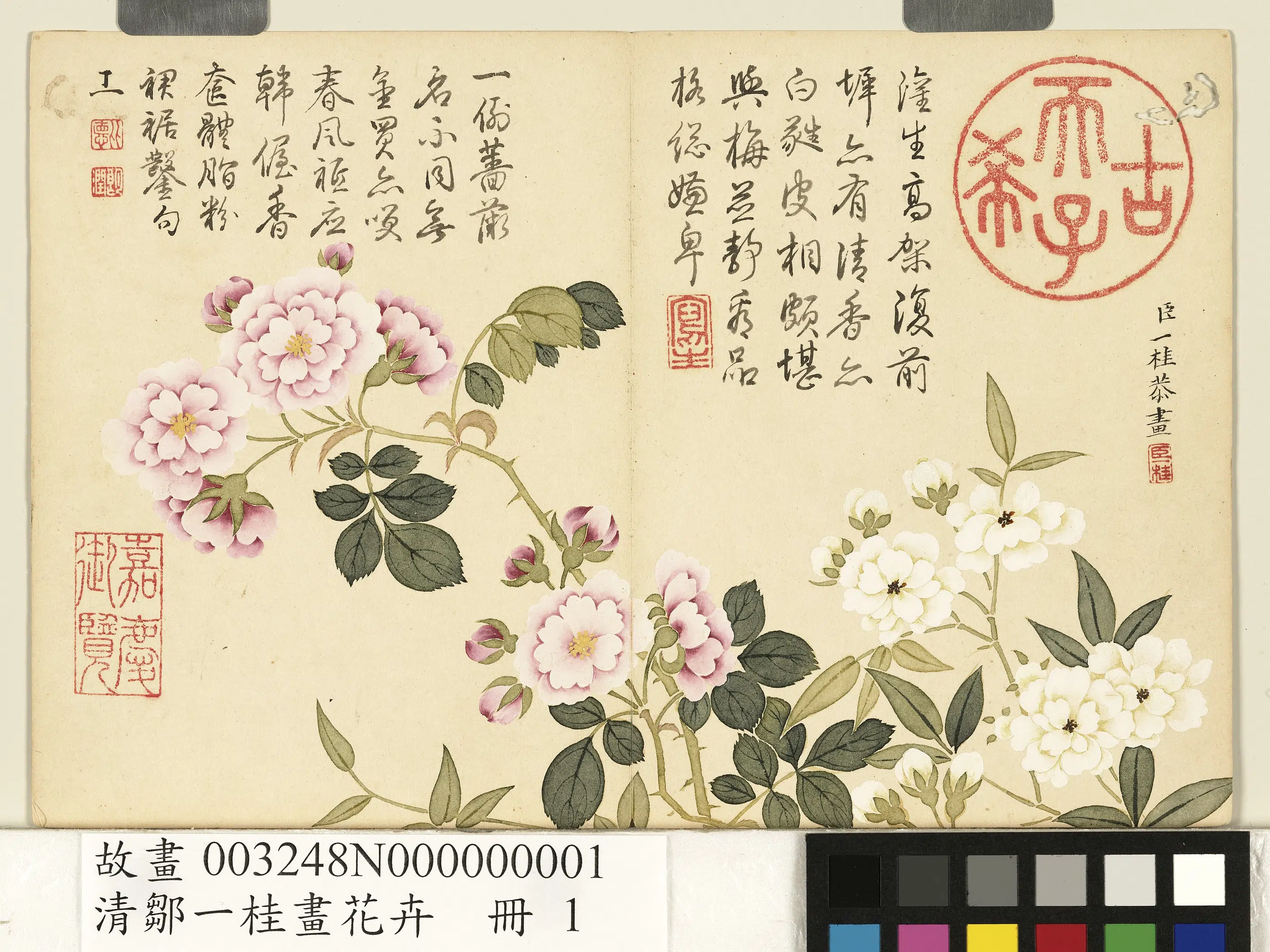 清代【邹一桂】《画花卉册-木香十姊妹》