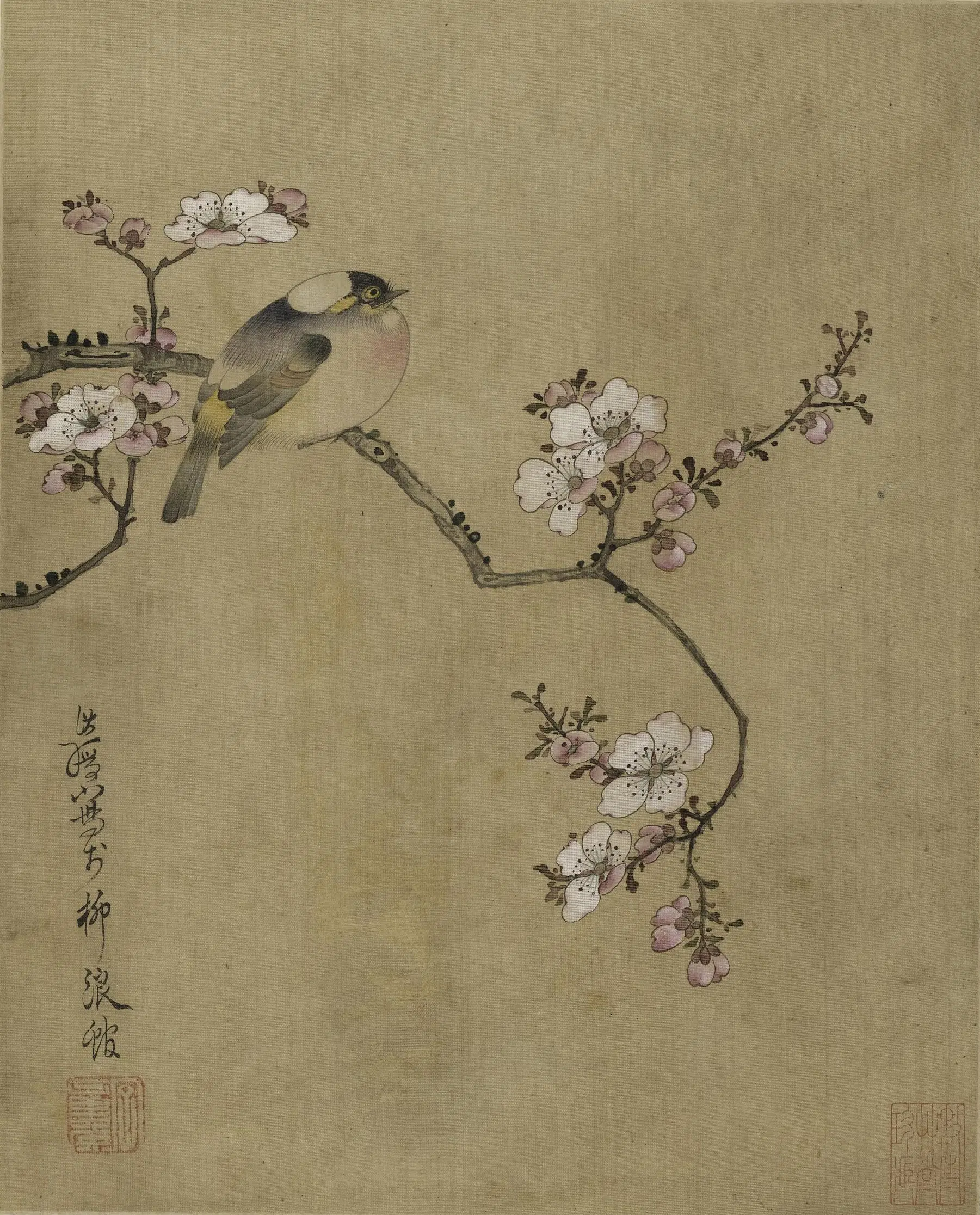 明朝【陈洪绶】《花鸟草虫册》 第5张 明朝【陈洪绶】《花鸟草虫册》 第5张