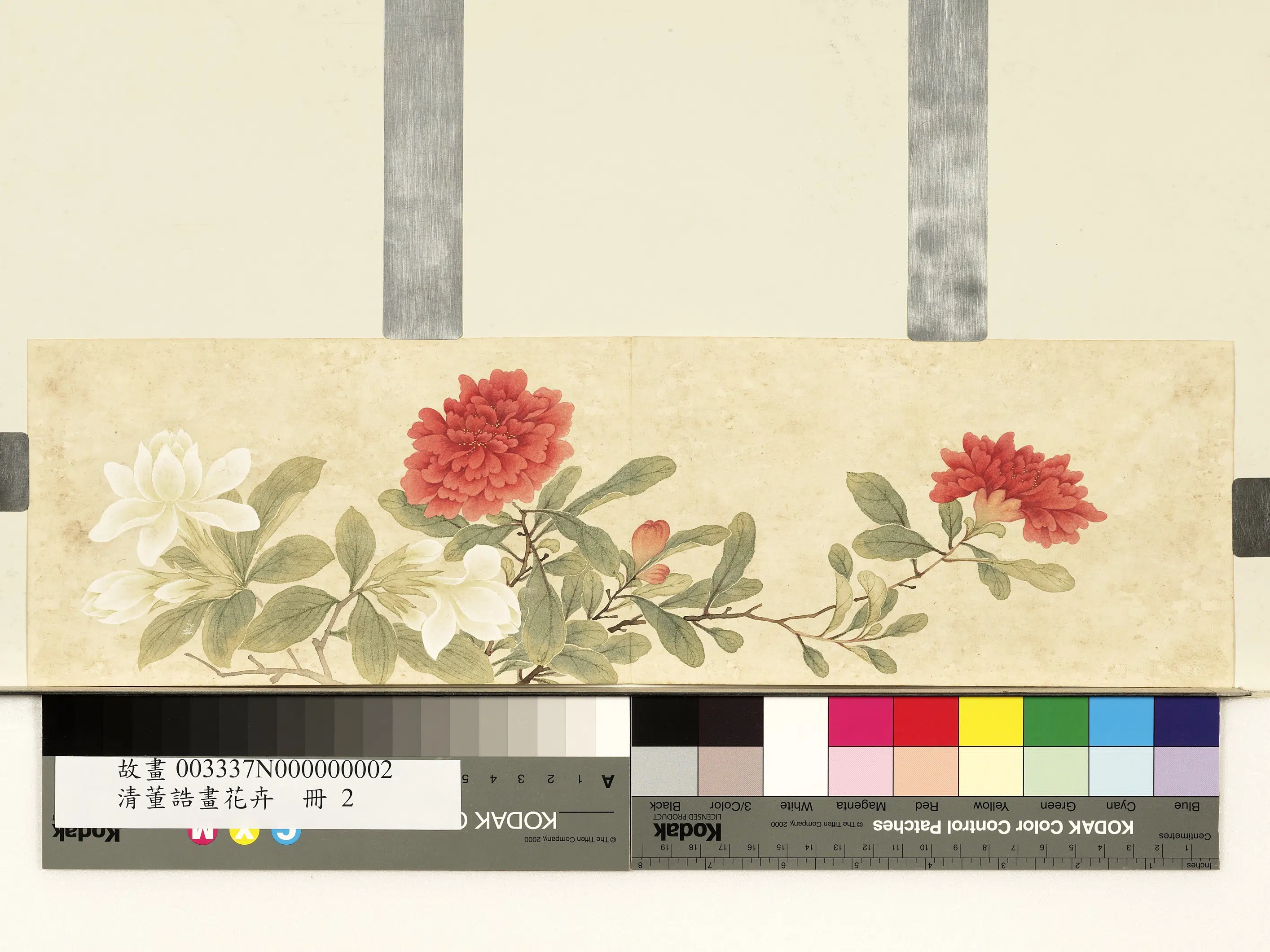 清代【董诰】《画花卉册-石榴栀子》 第1张 清代【董诰】《画花卉册-石榴栀子》 第1张