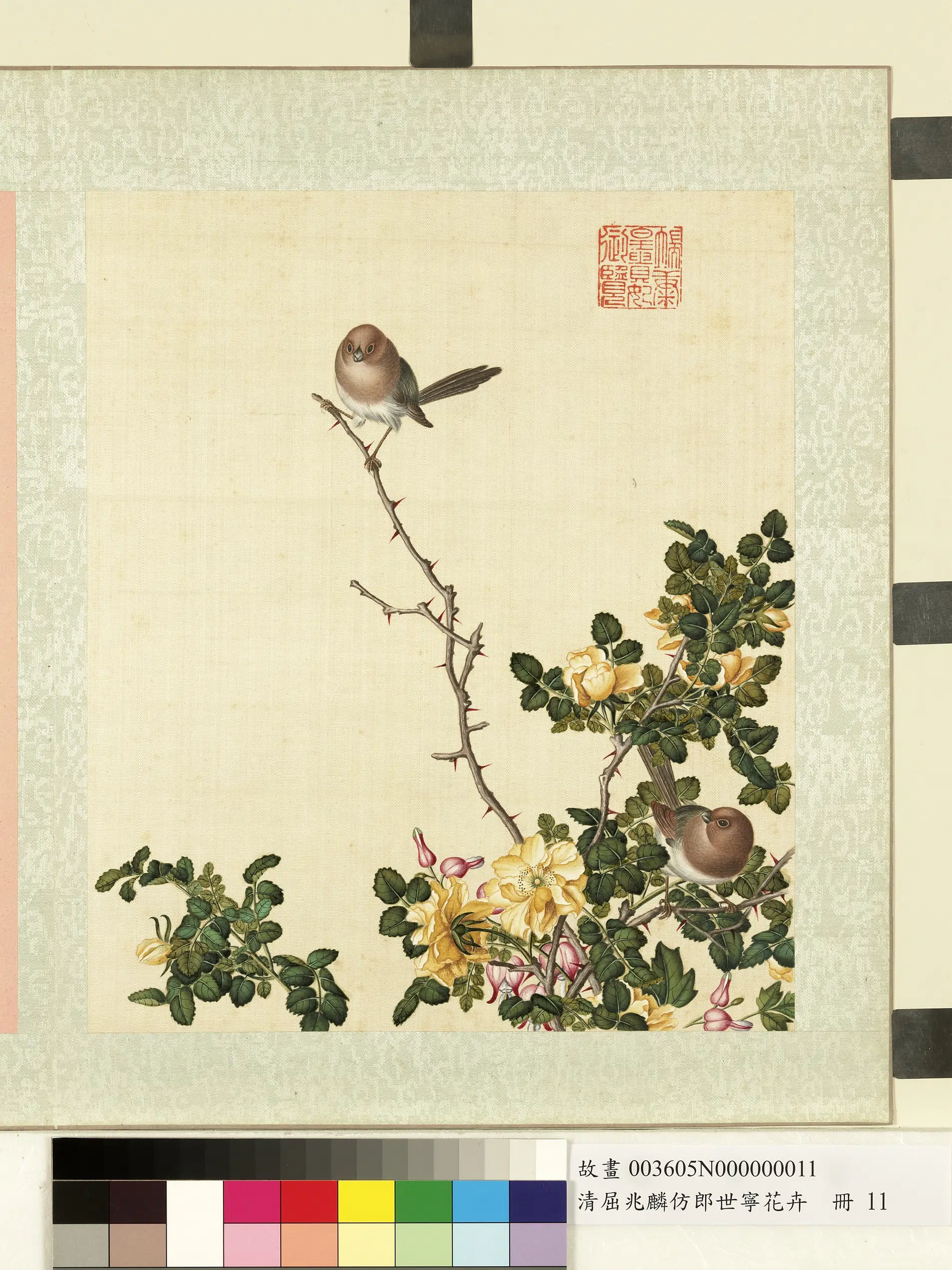 清代【屈兆麟】《仿郎世宁花卉册-粉红鹦嘴月季花》