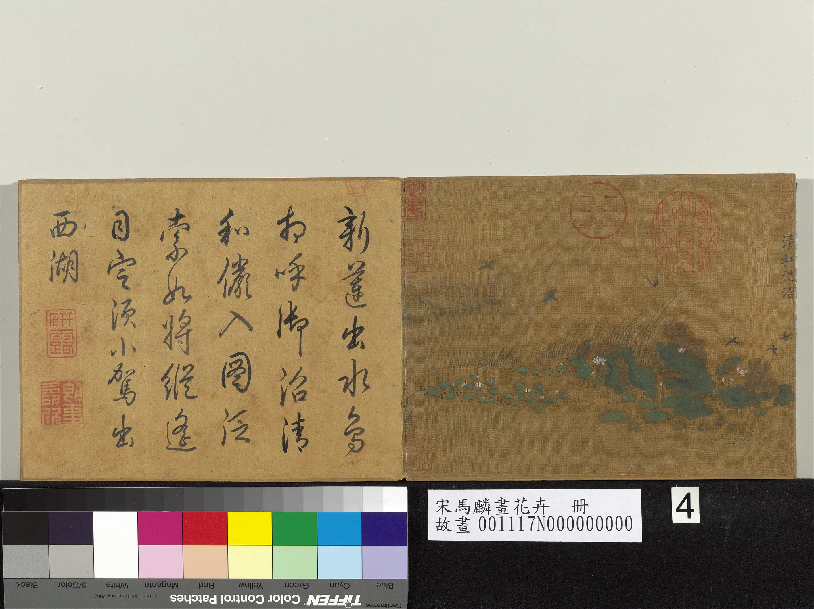 南宋【马麟】《画花卉册》 第6张