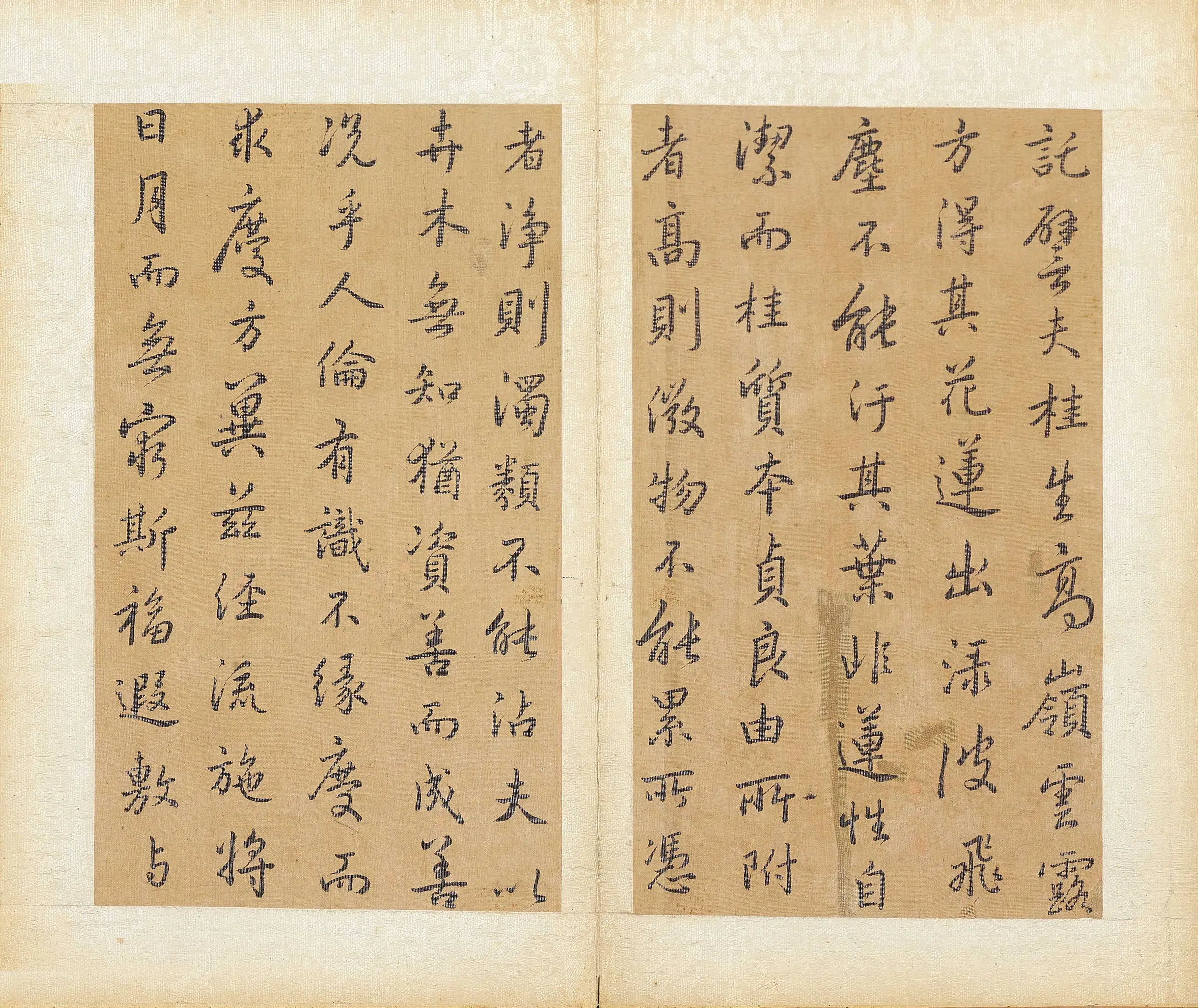 清代【方苞】《临圣教序册》 第8张 清代【方苞】《临圣教序册》 第8张