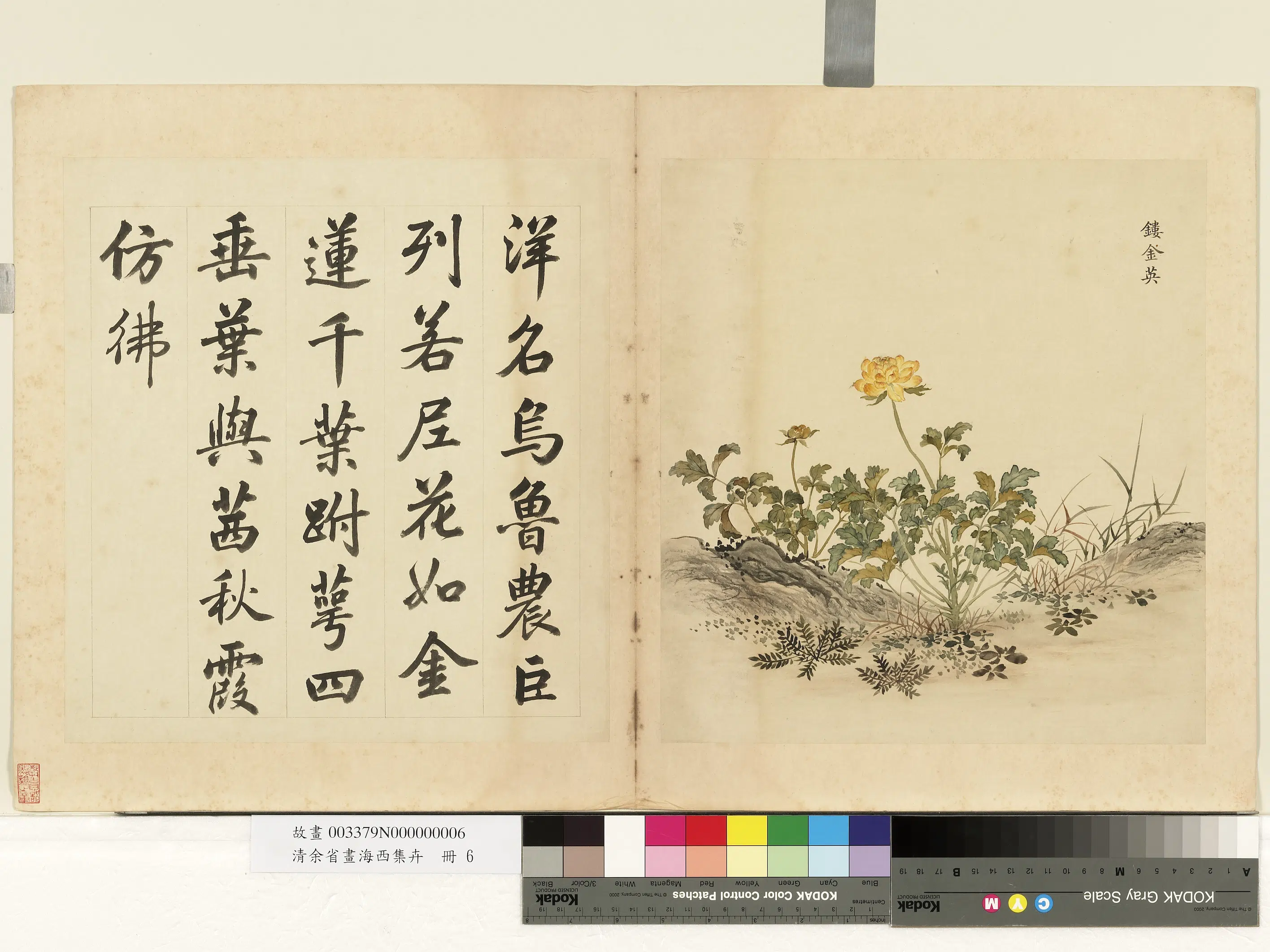 清代【余省】《画海西集卉册》 第8张