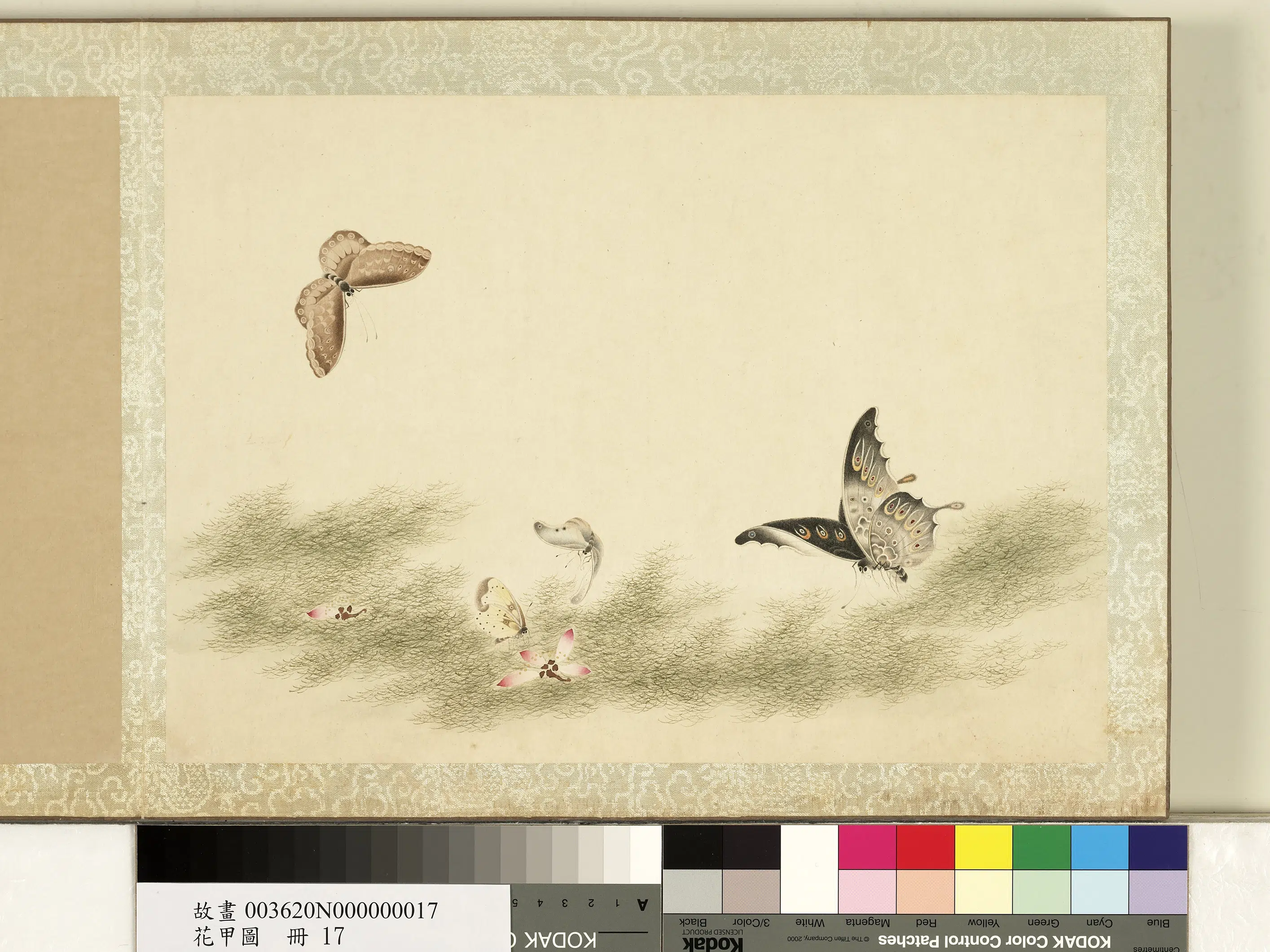 《花甲图册》 第10张 《花甲图册》 第10张