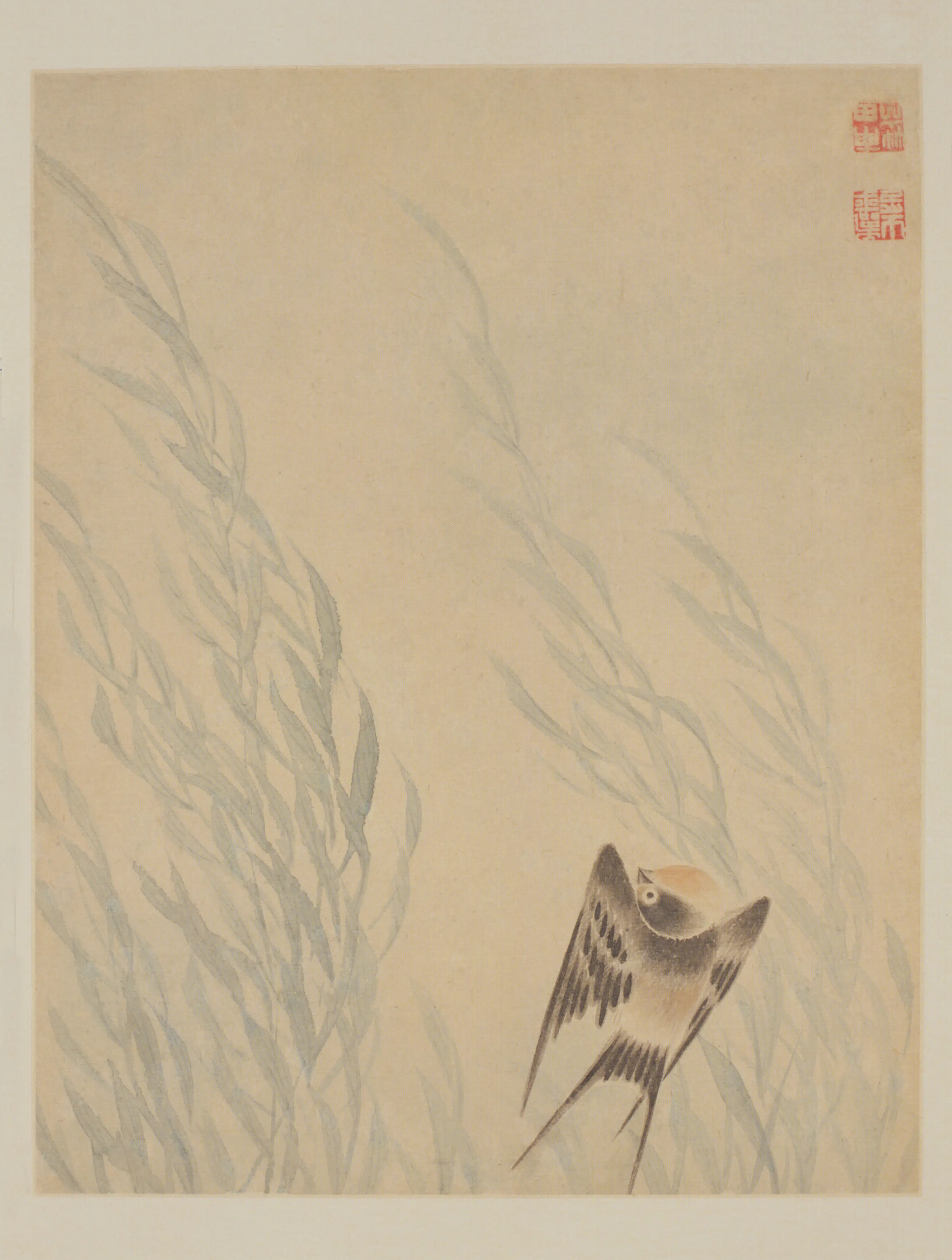 清代【恽寿平】《花鸟册(12开)》 第12张 清代【恽寿平】《花鸟册(12开)》 第12张