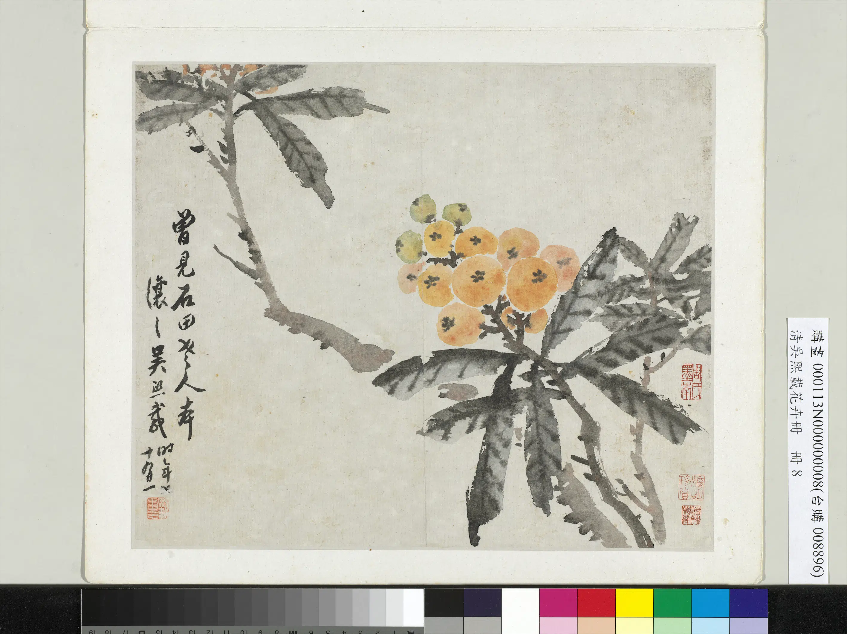 清代【吴熙载】《花卉册》 第4张