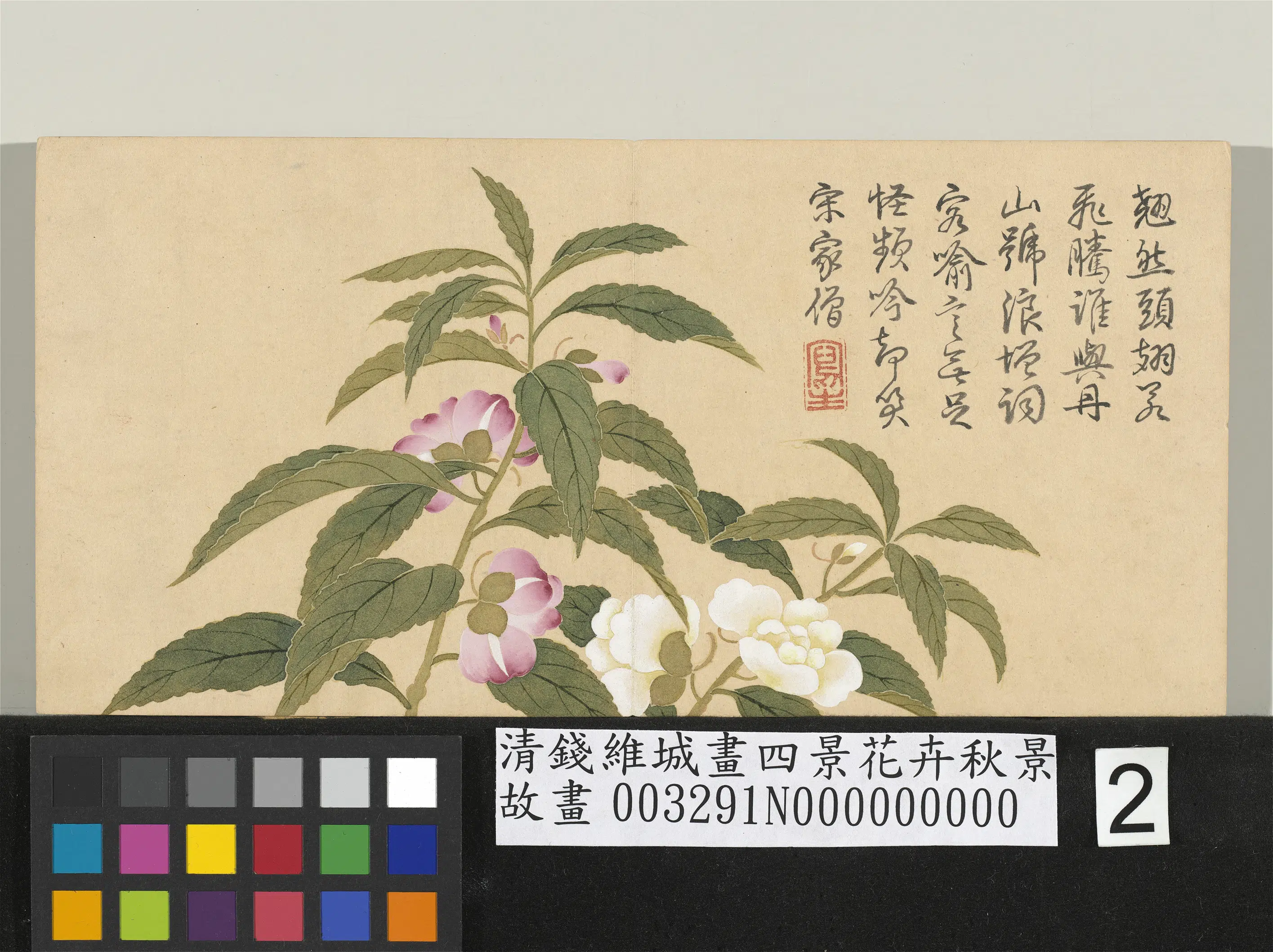 清代【钱维城】《画四景花卉秋景册》 第2张