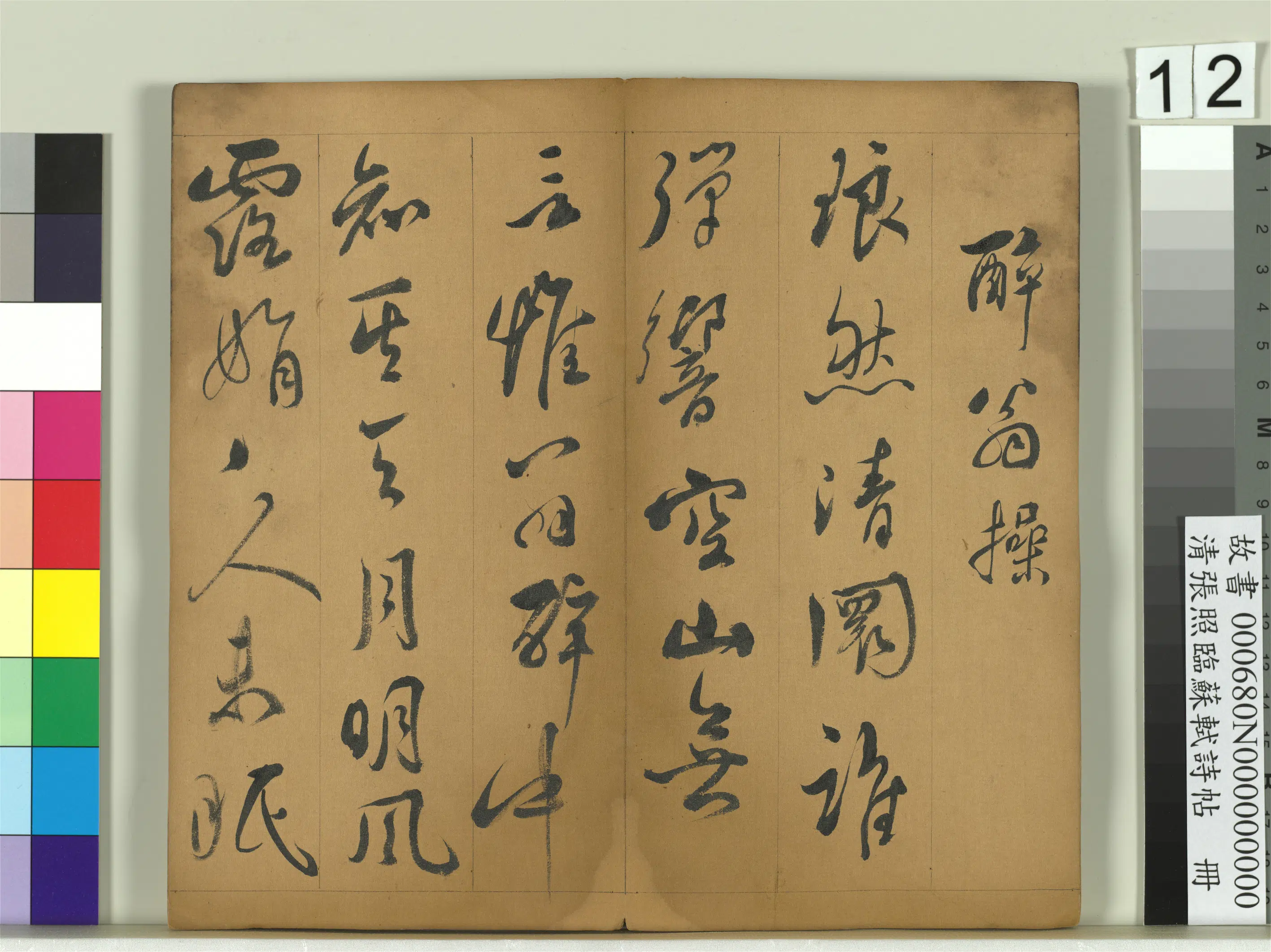 清代【张照】《临苏轼诗帖册》 第4张
