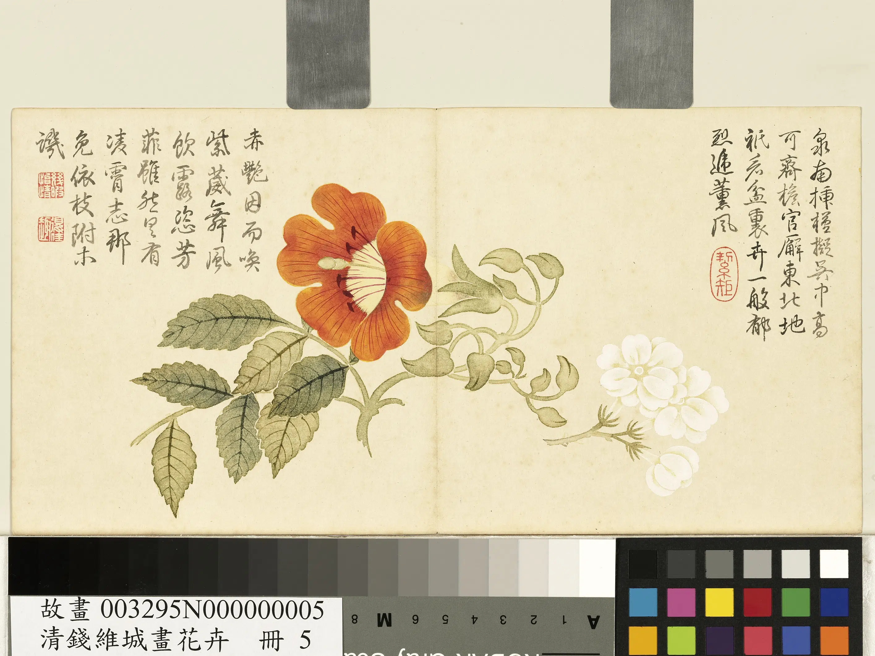 清代【钱维城】《画花卉册-茉莉凌霄》