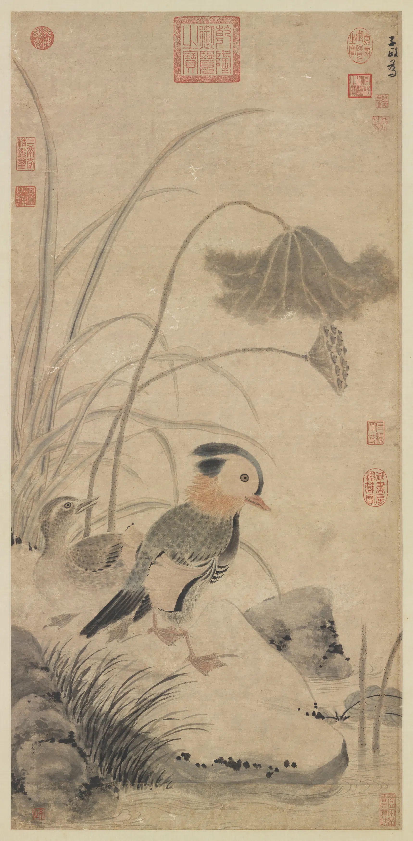 元朝【张中】《枯荷鸂鶒图轴》