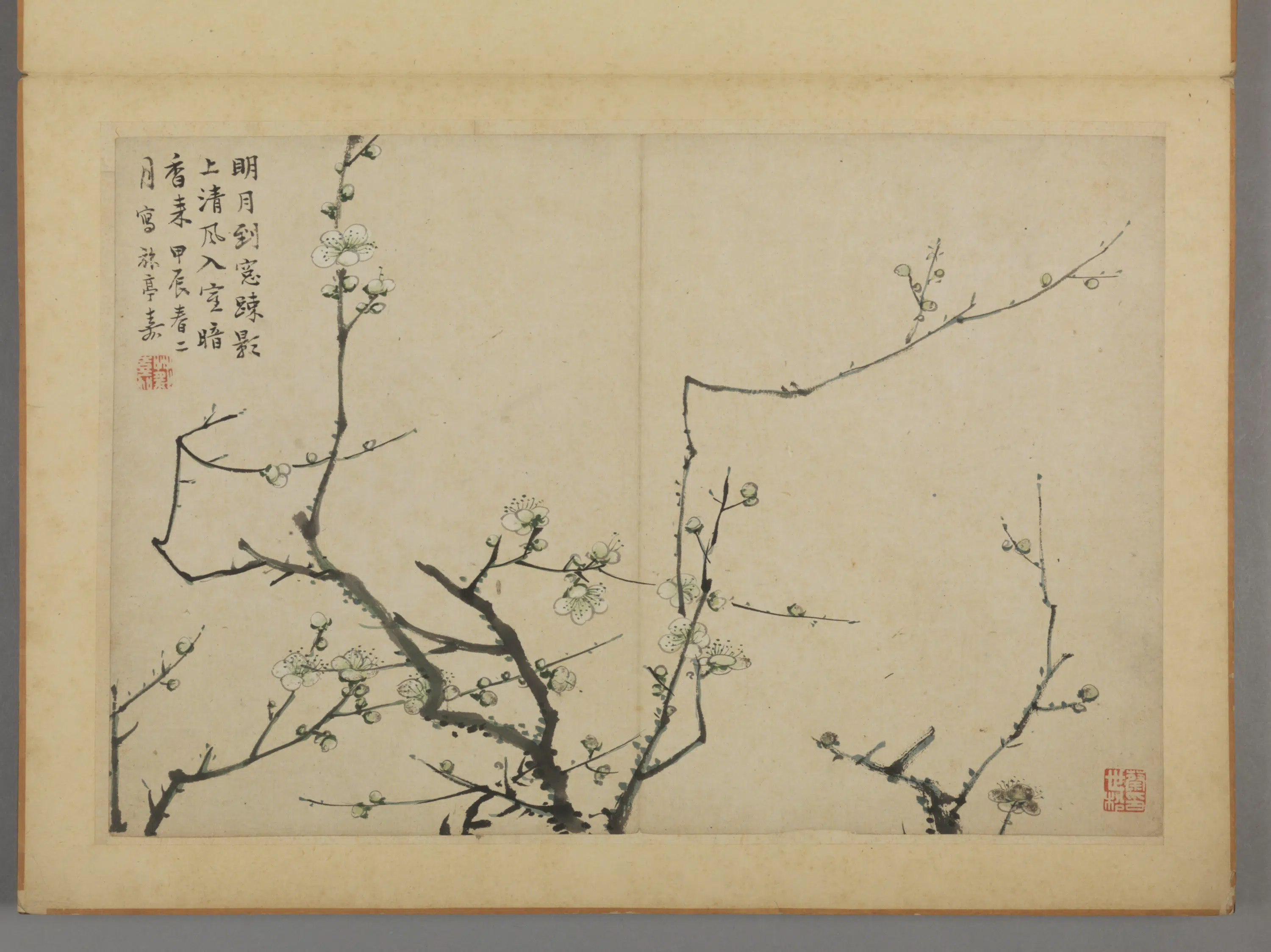 清代【蔡嘉】《花卉图册（12开）》 第4张
