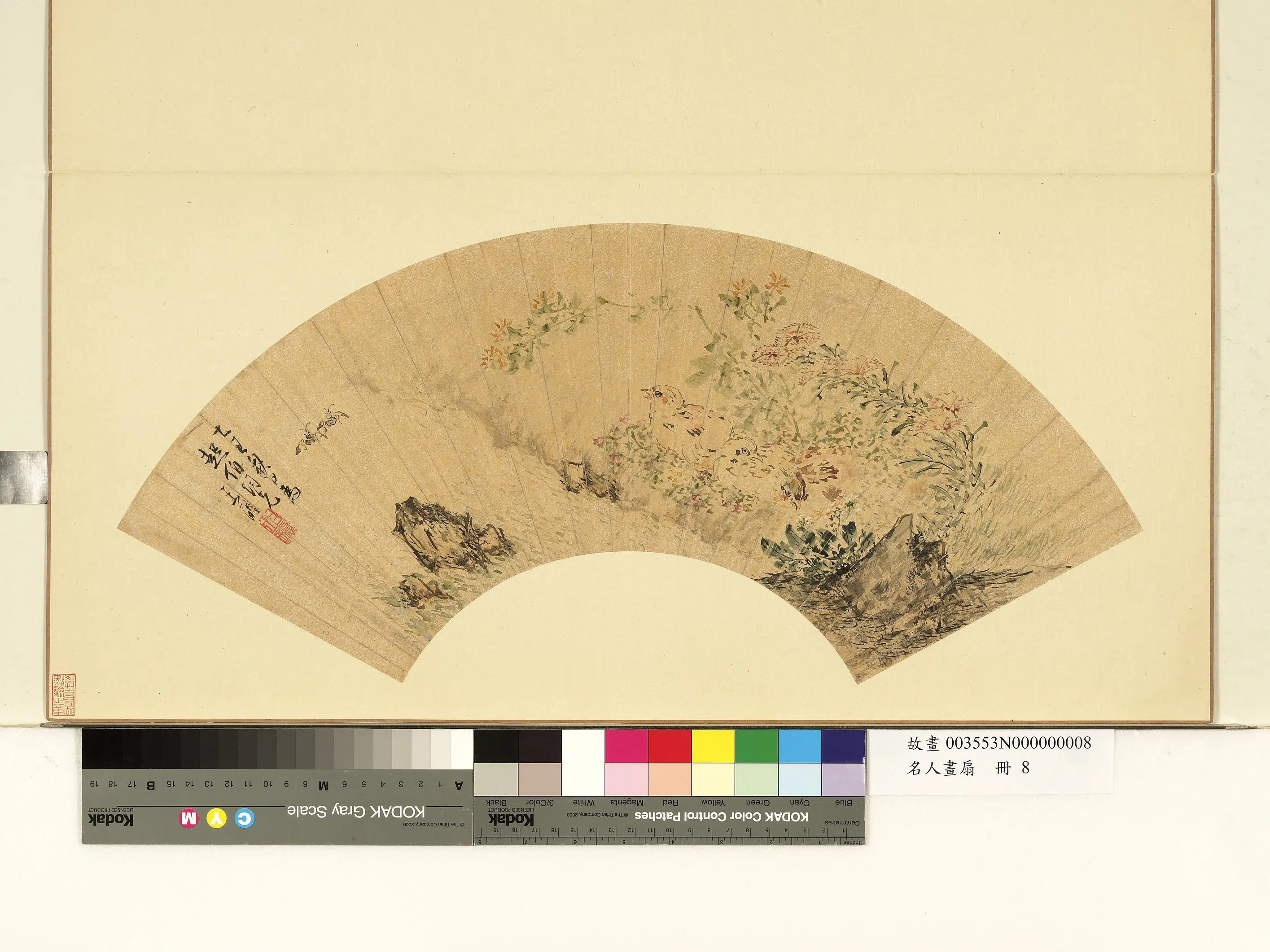 明朝【王醴】《名人画扇（上）册-鹌鹑石竹》
