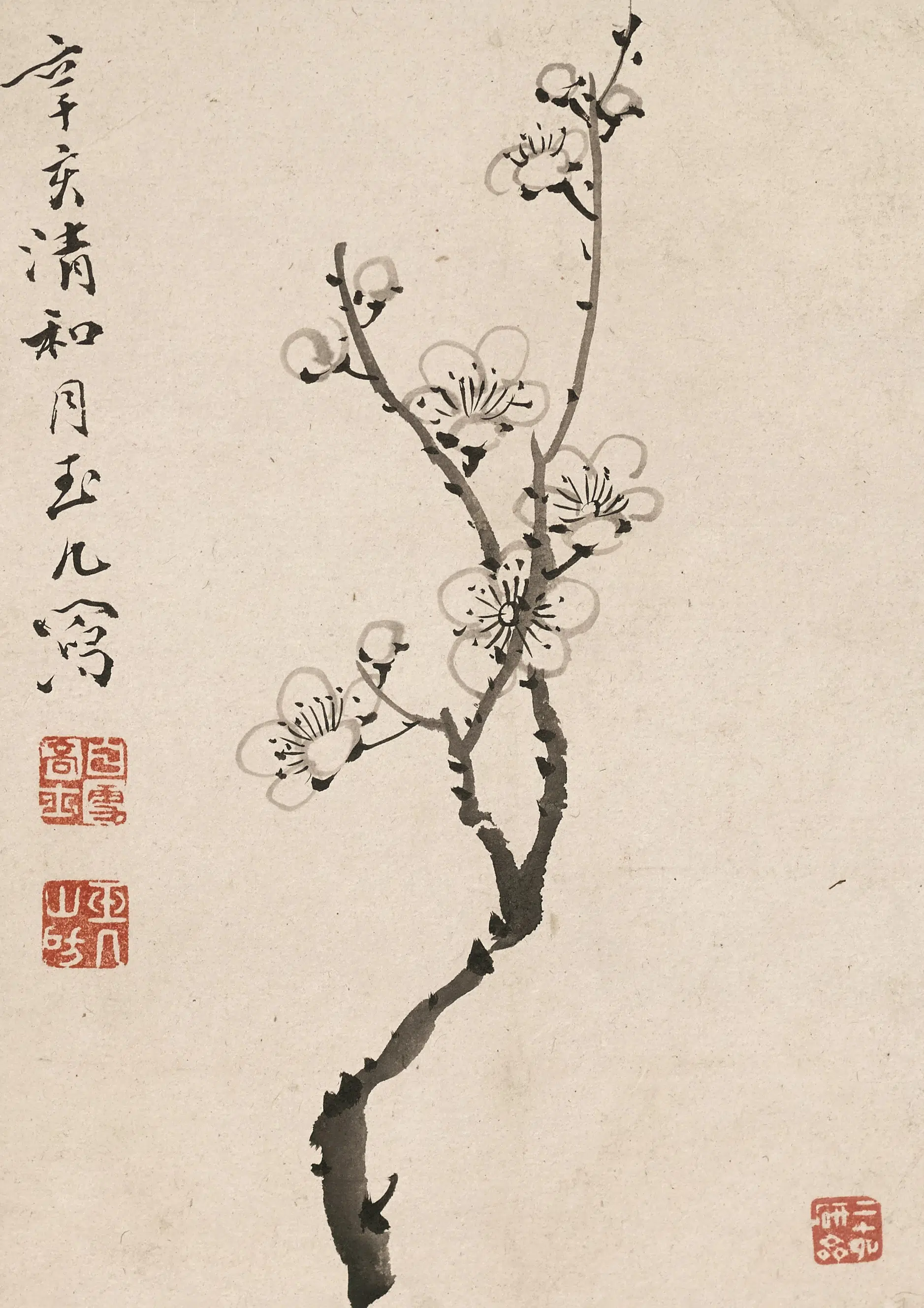 清代【陈撰】《果品花卉图册》 第10张 清代【陈撰】《果品花卉图册》 第10张