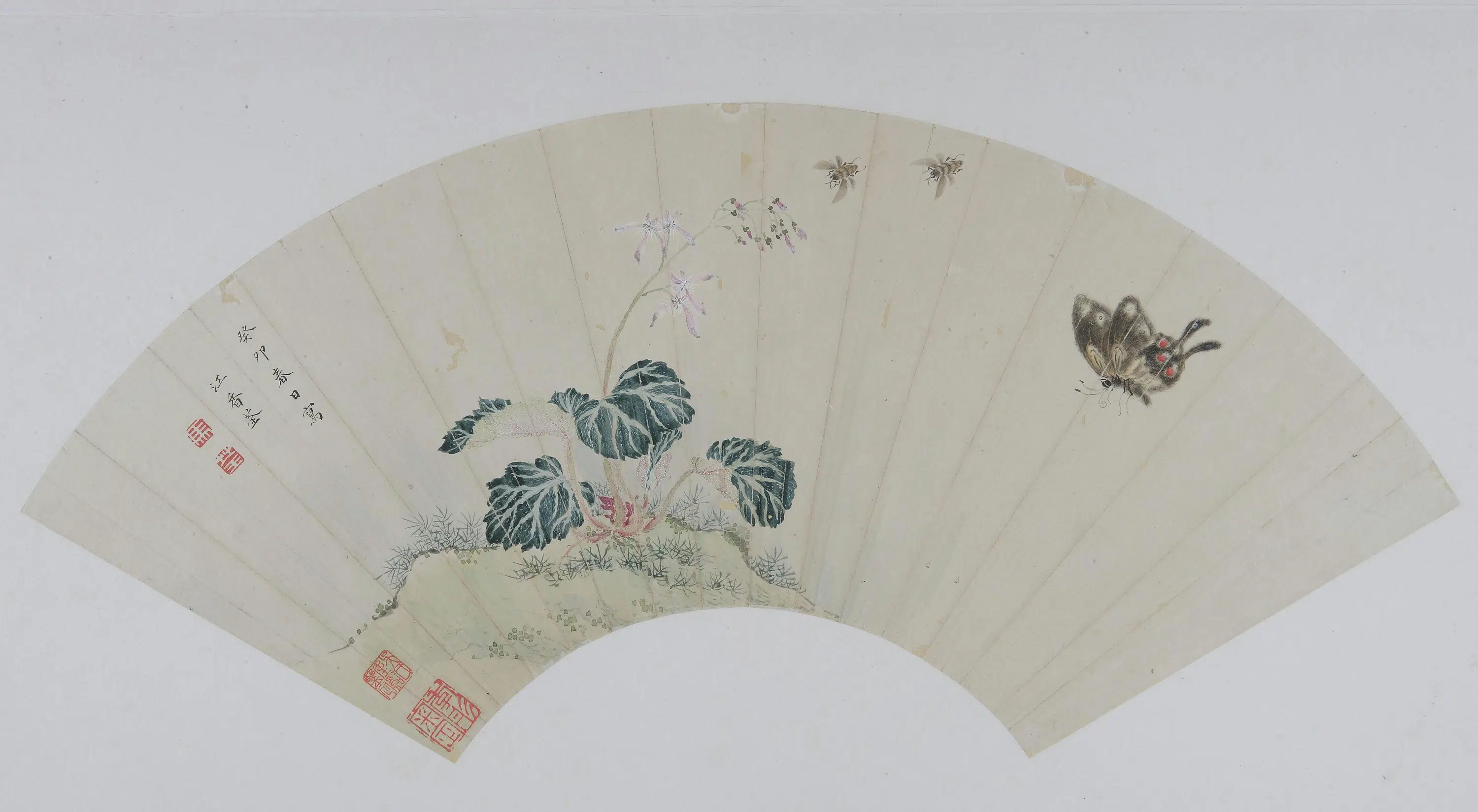 清代【马荃】《草虫花卉图扇页》 第1张