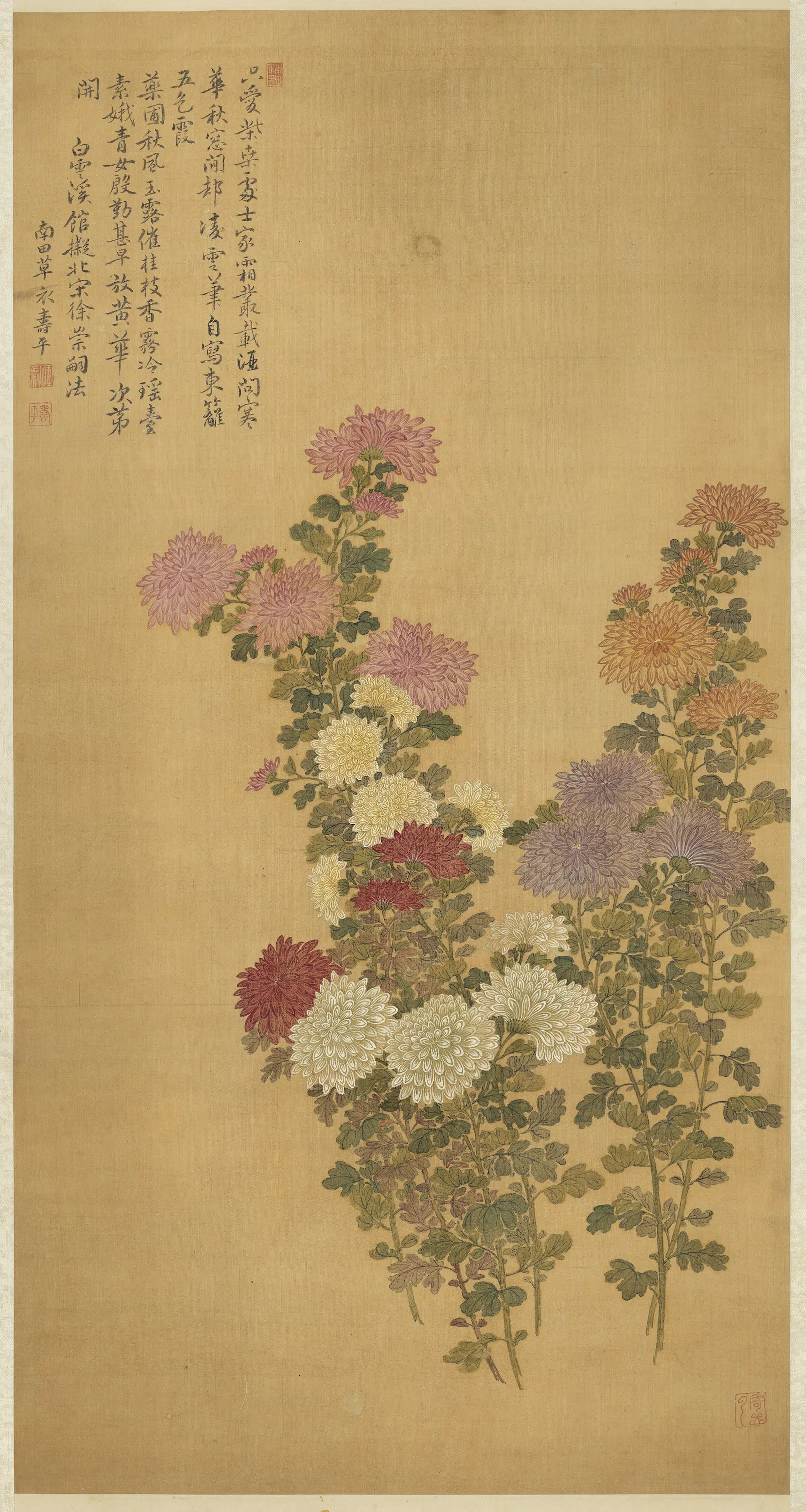 清代【恽寿平】《菊花图轴-1》