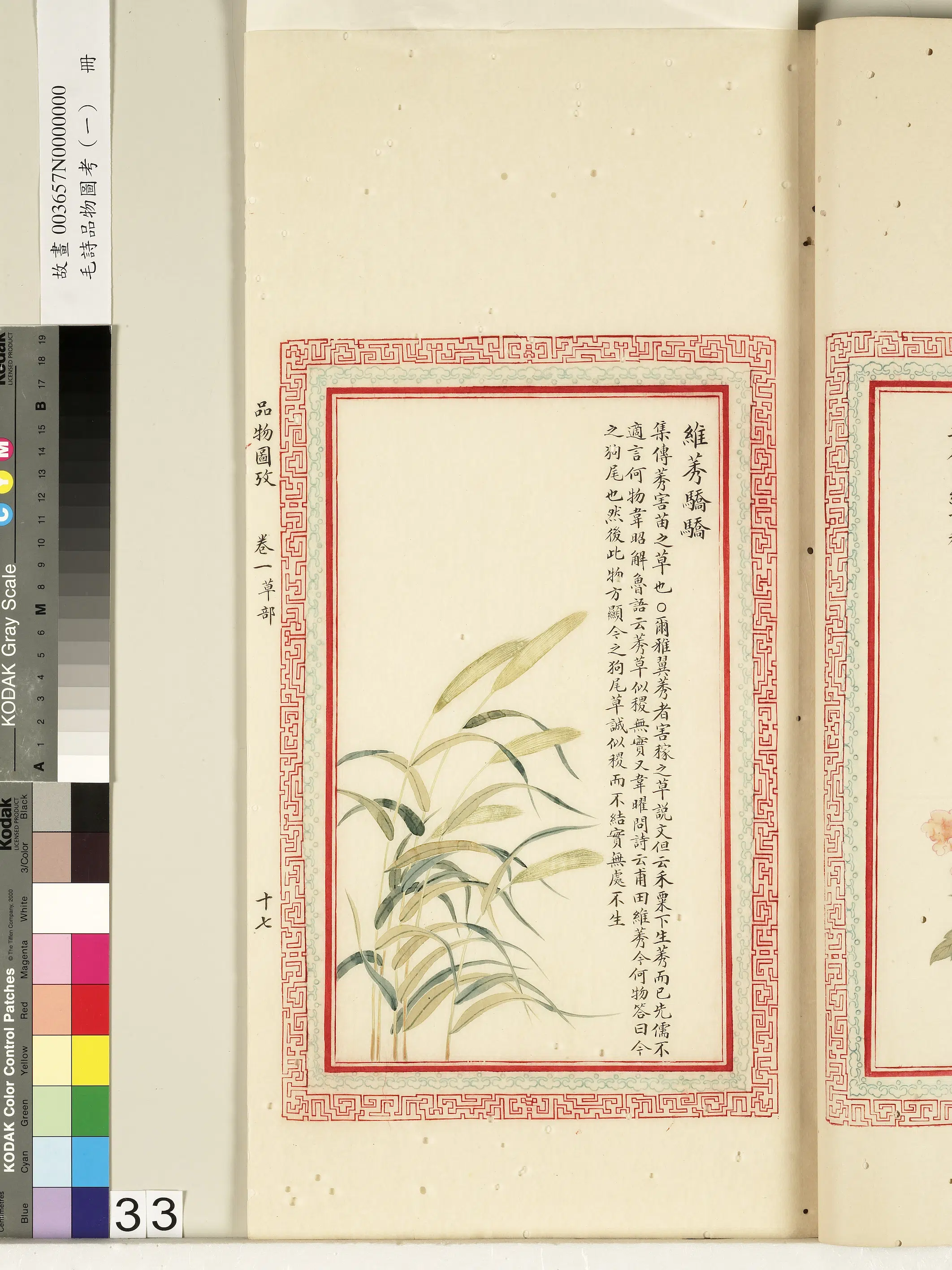 清朝【佚名】《毛诗品物图考（一）册-维莠骄骄-2》