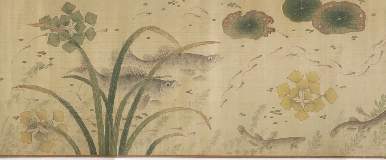 明代【佚名】《群鲜朝鲤图》