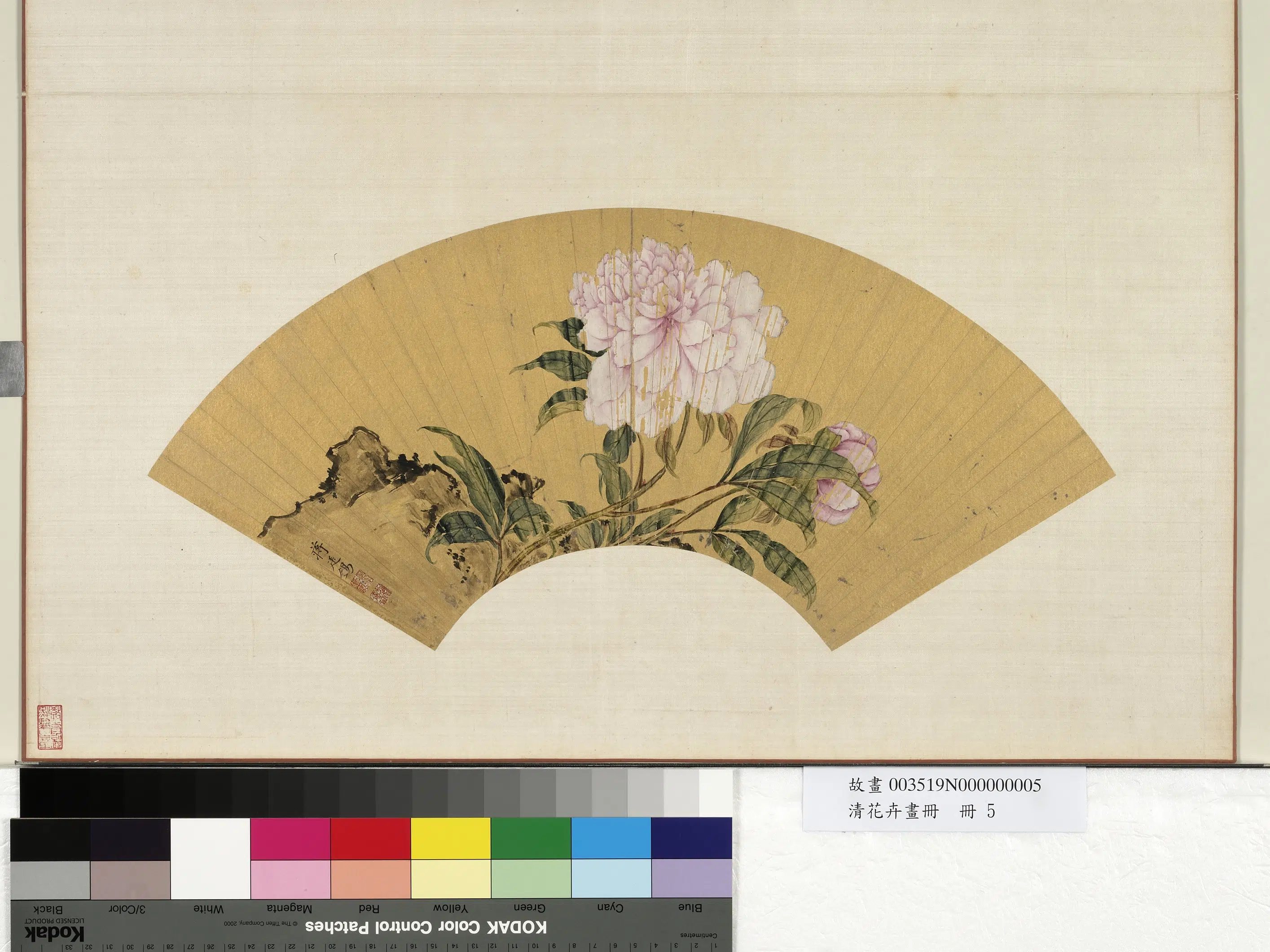 清代【蒋廷锡】《花卉画册-芍药》 第1张