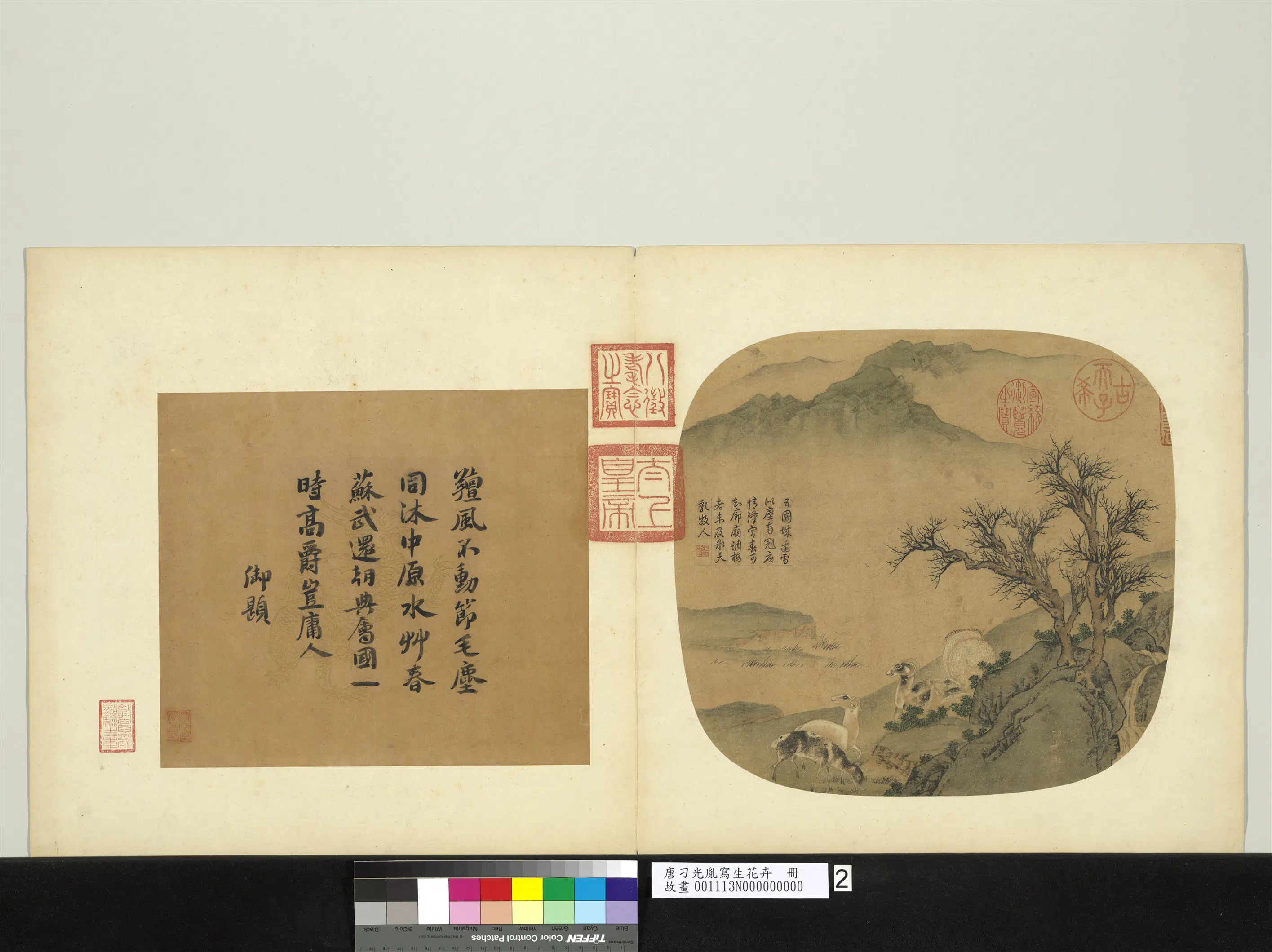 唐朝【刁光胤】《写生花卉册》 第5张