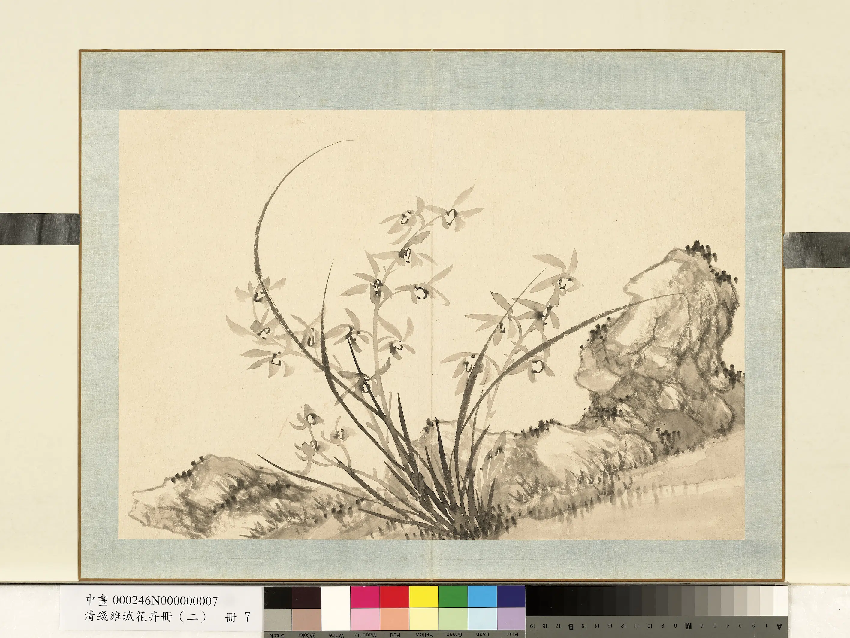 清代【钱维城】《花卉册（二）册-画兰之七》