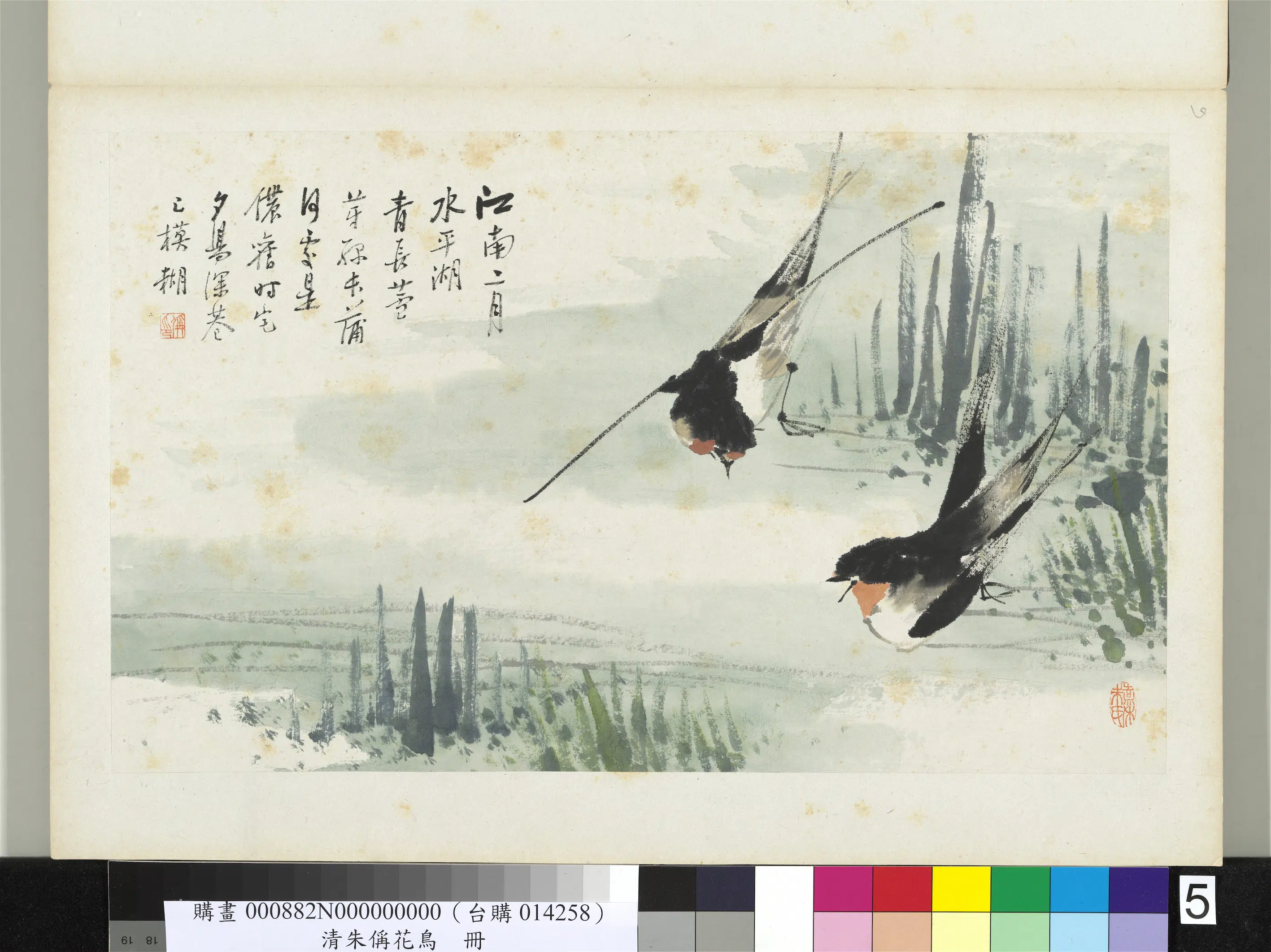 清代【朱偁】《花鸟册》 第13张