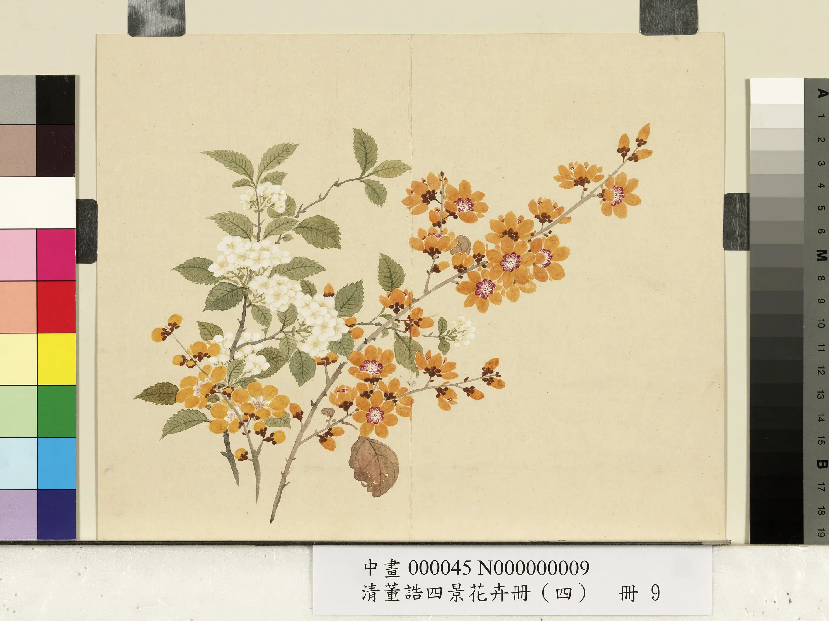清代【董诰】《四景花卉(四)册-冬景花卉之九》 第1张 清代【董诰】《四景花卉(四)册-冬景花卉之九》 第1张