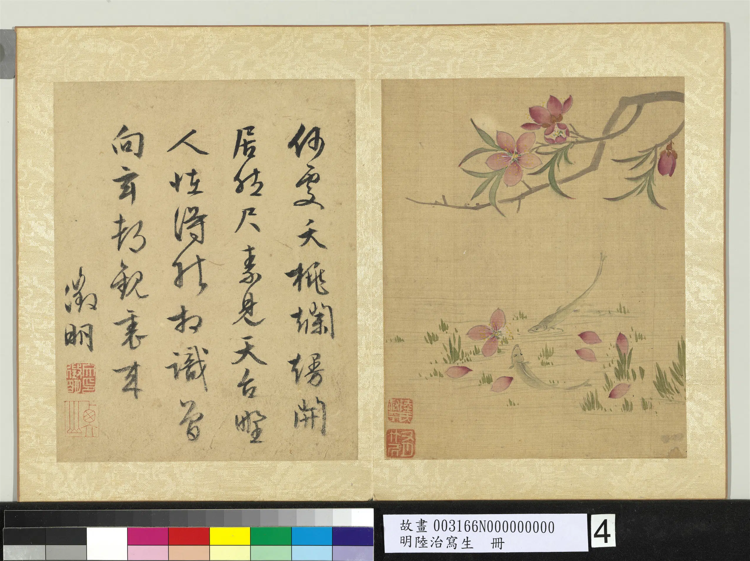 明代【陆治】《桃花游鱼图_写生册》