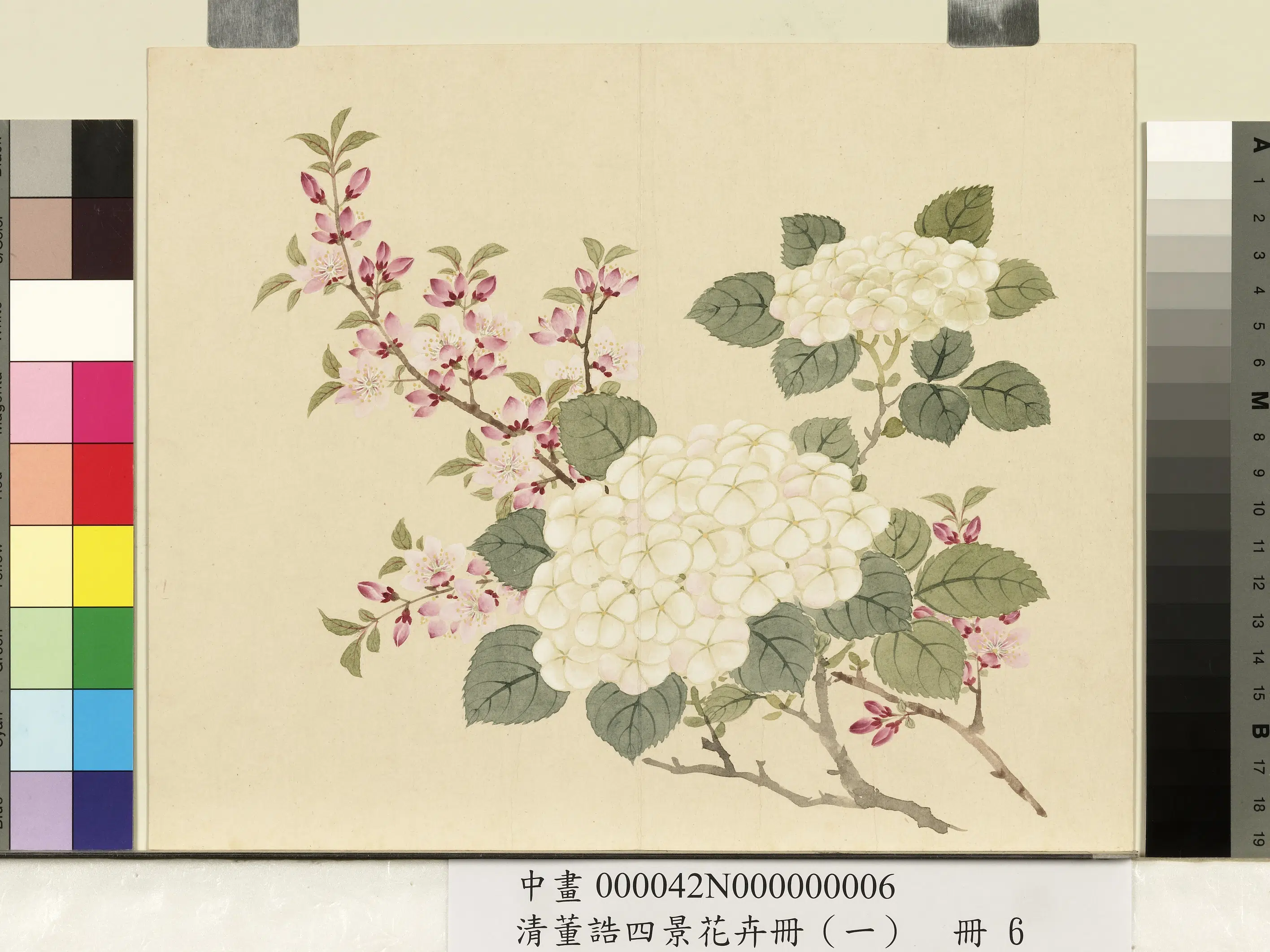 清代【董诰】《四景花卉（一）册》 第8张