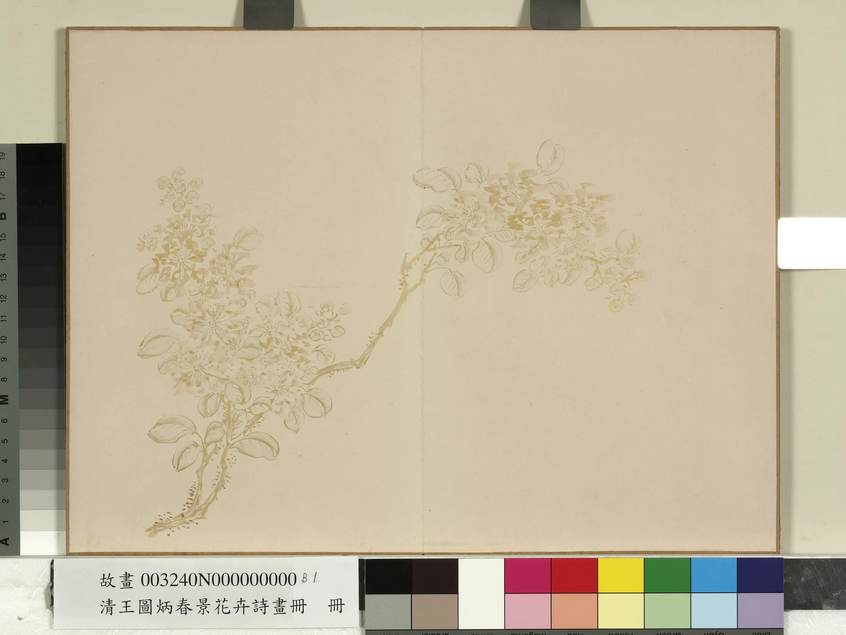 清代【王图炳】《春景花卉诗画册》 第3张