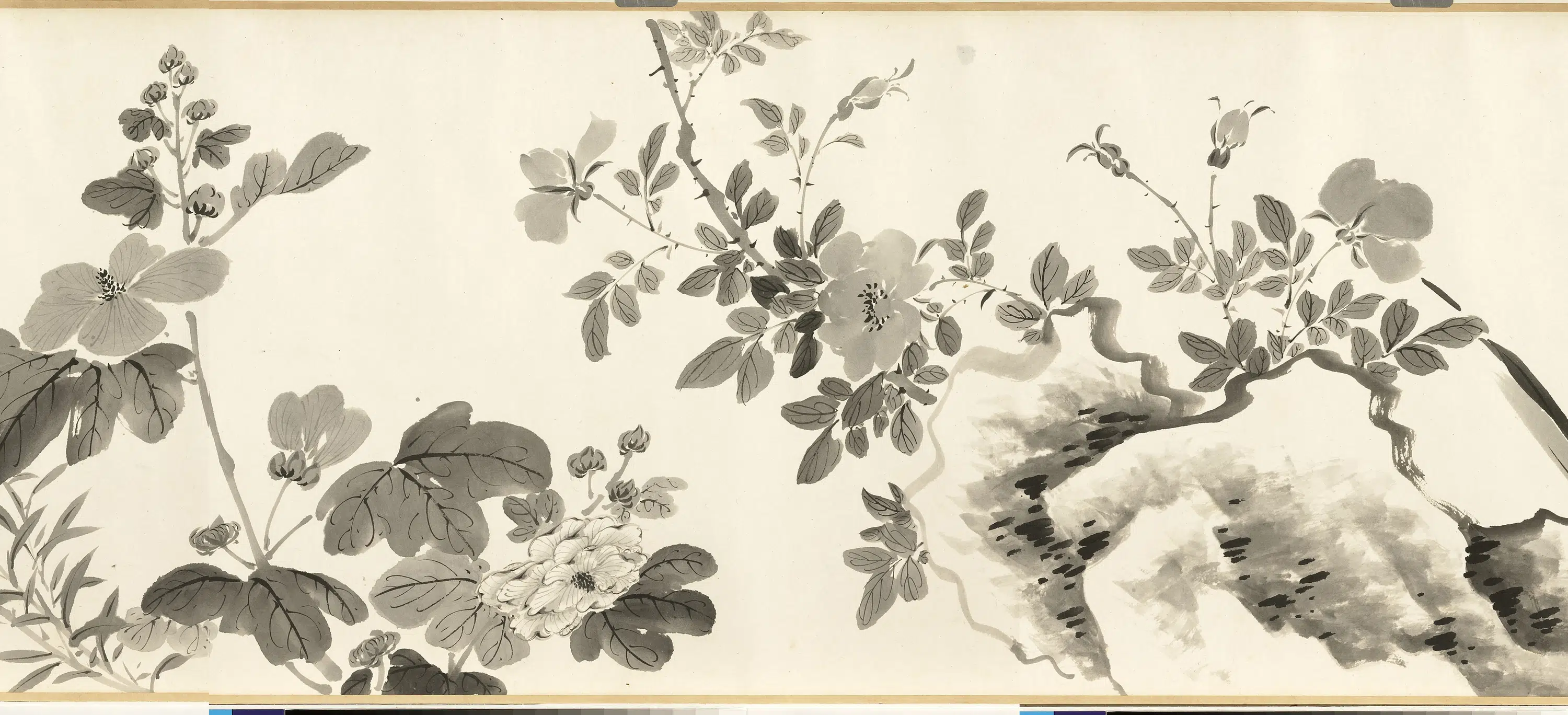 清代【张画】《画杂卉卷》 第6张