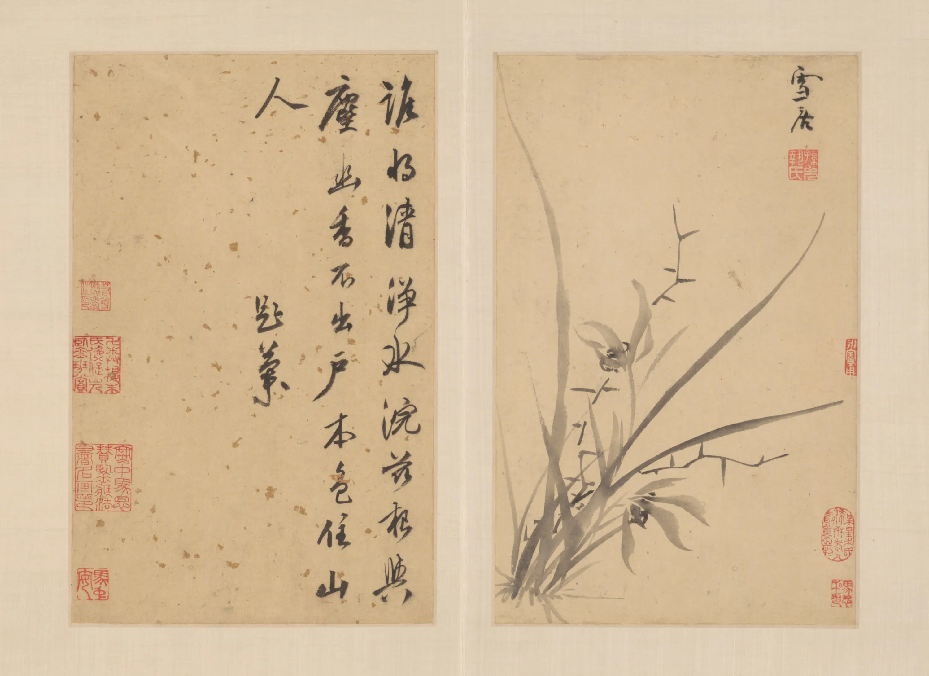 明朝【孙克弘】《花卉图册（11开）》 第2张