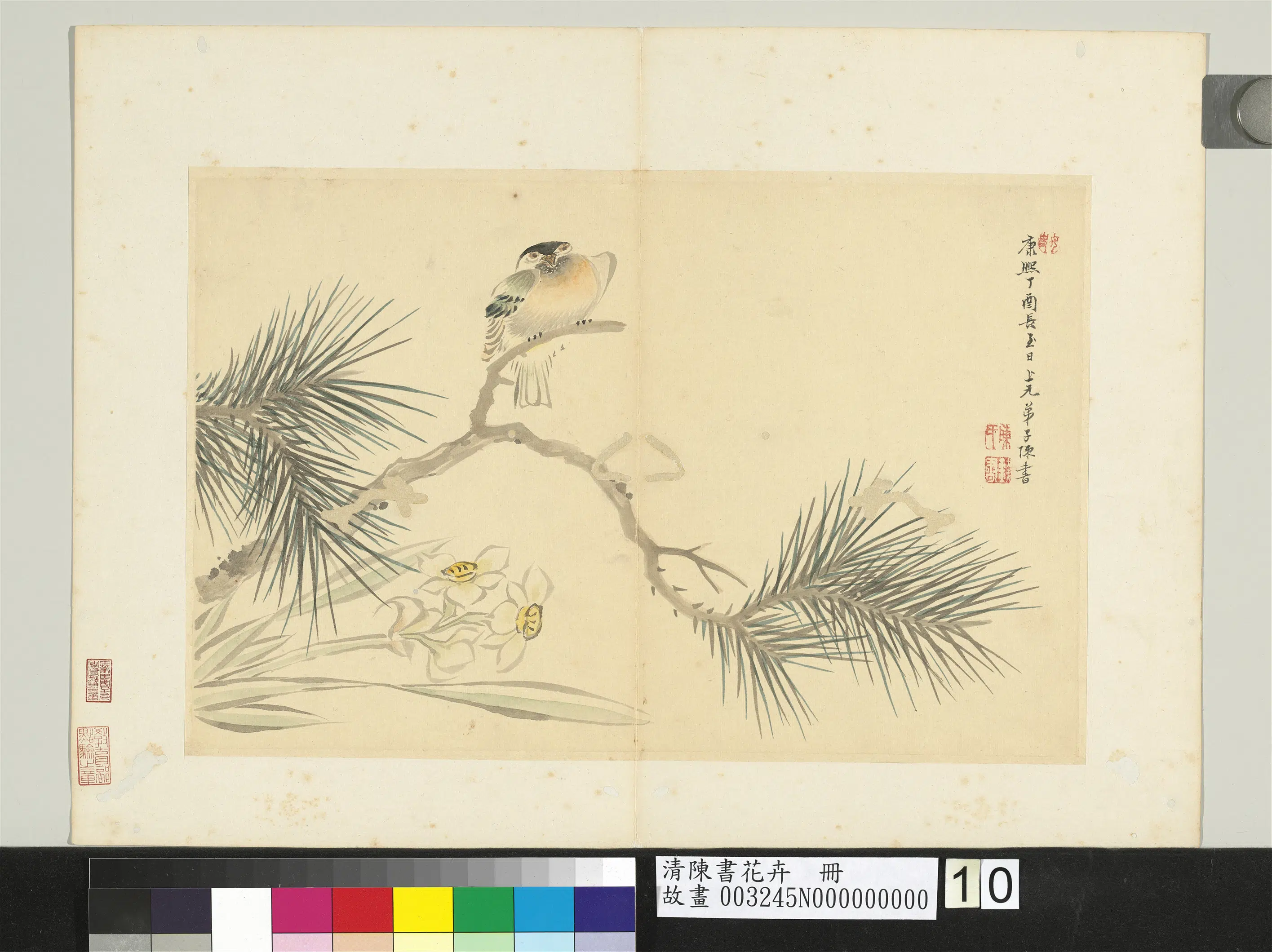 清代【陈书】《花卉册-松树水仙》