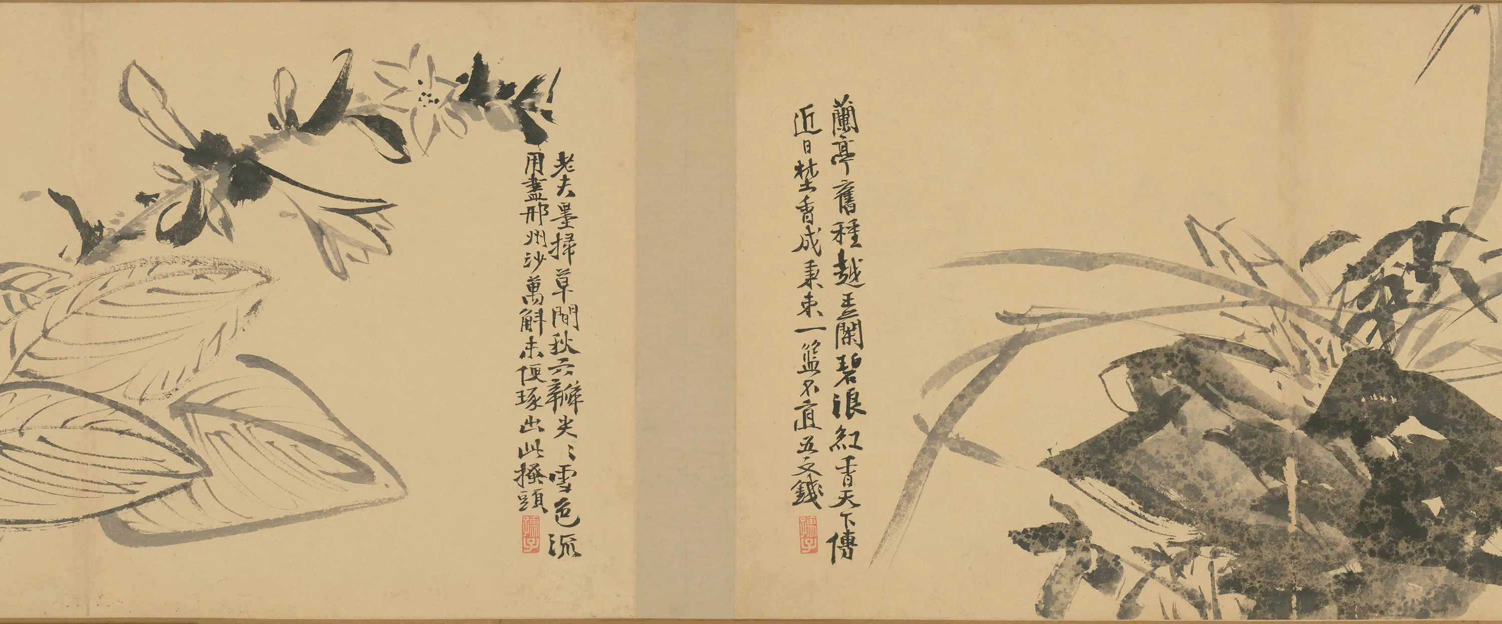 明朝【徐渭】《墨花卷》 第7张
