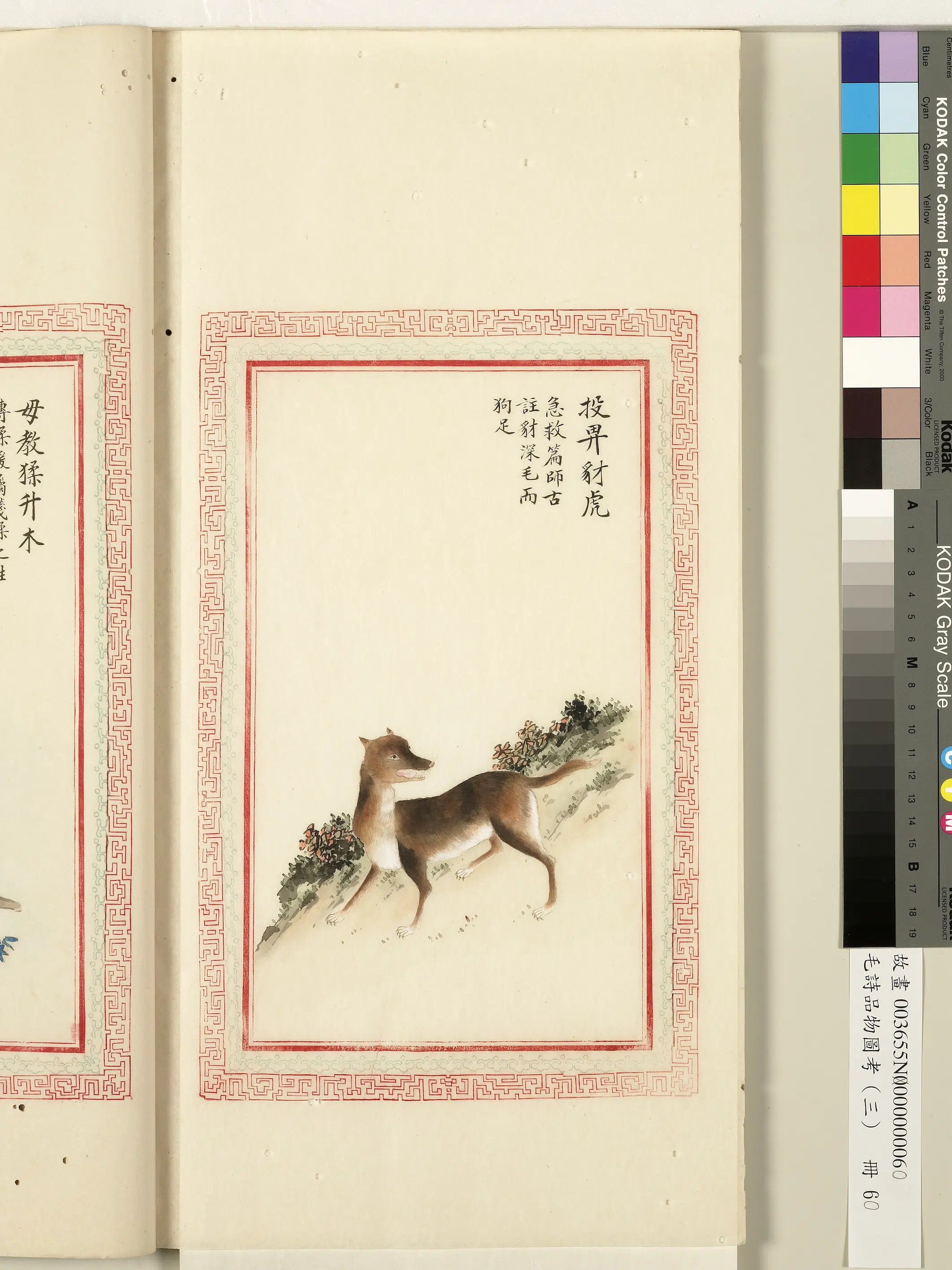 清代《毛诗品物图考(三)册-1》 第19张 清代《毛诗品物图考(三)册-1》 第19张