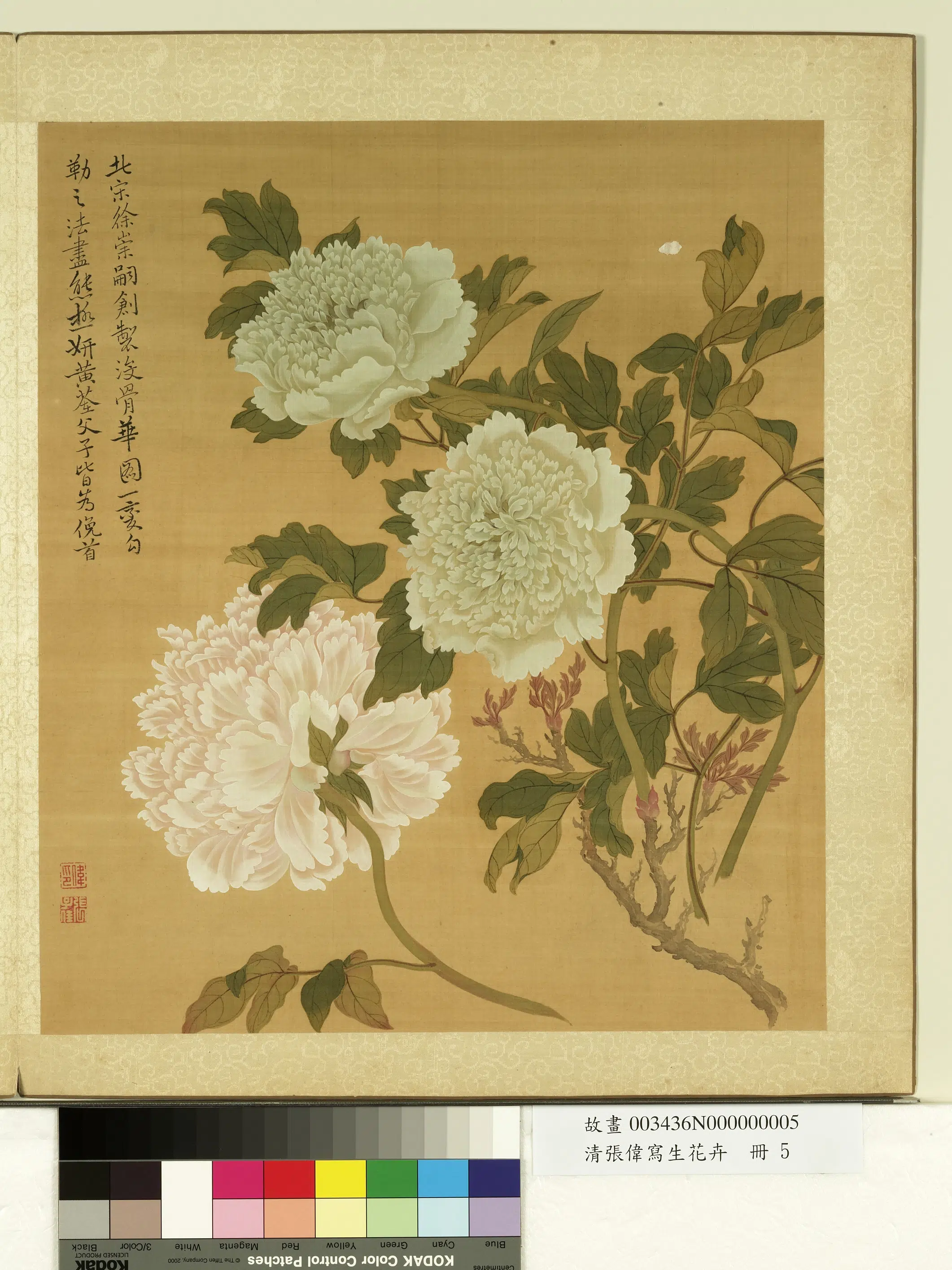 清代【张伟】《写生花卉册》 第11张