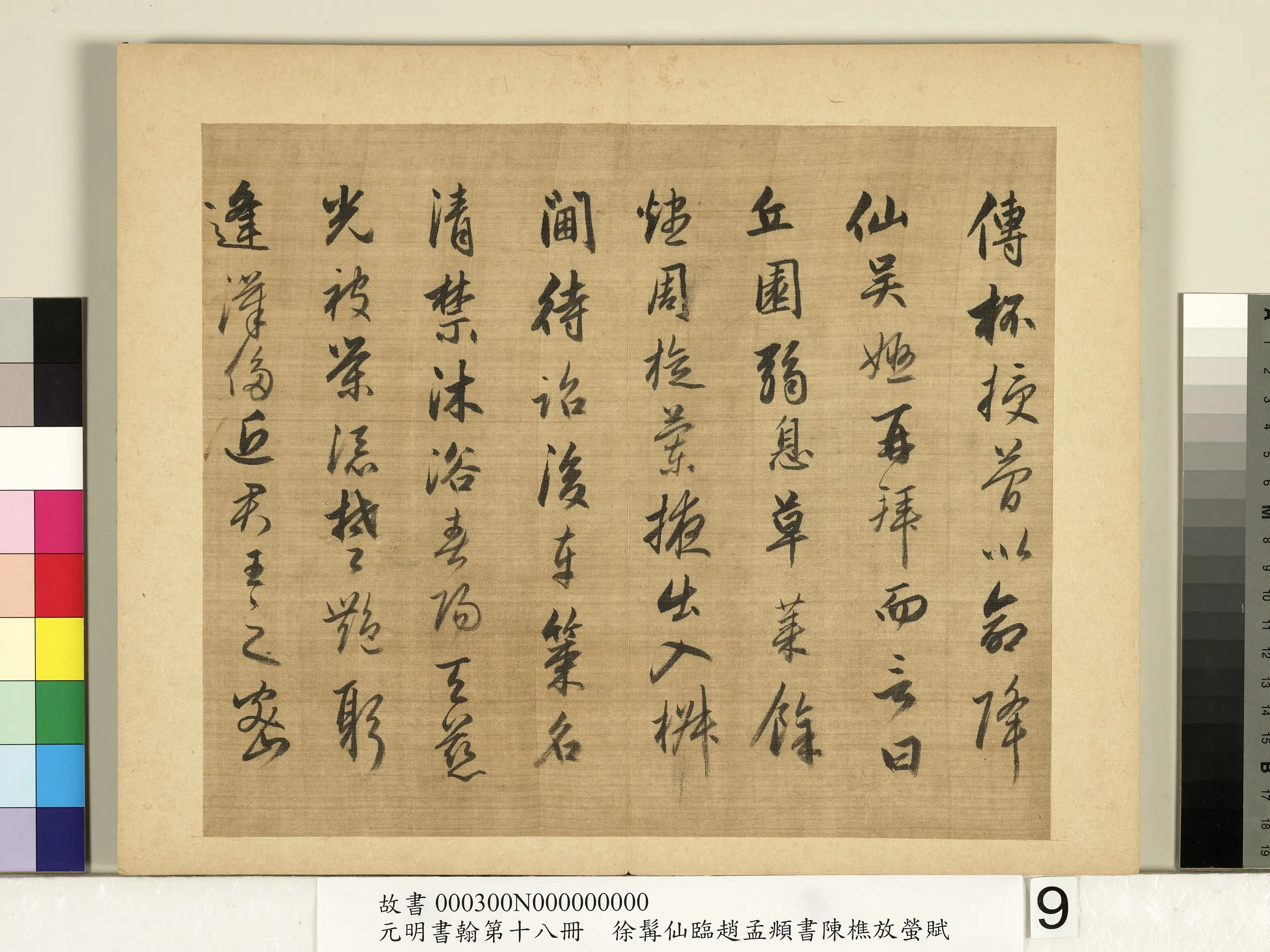 明朝【徐霖】《临赵孟頫行书陈樵放萤赋-元明书翰第十八册》 第13张