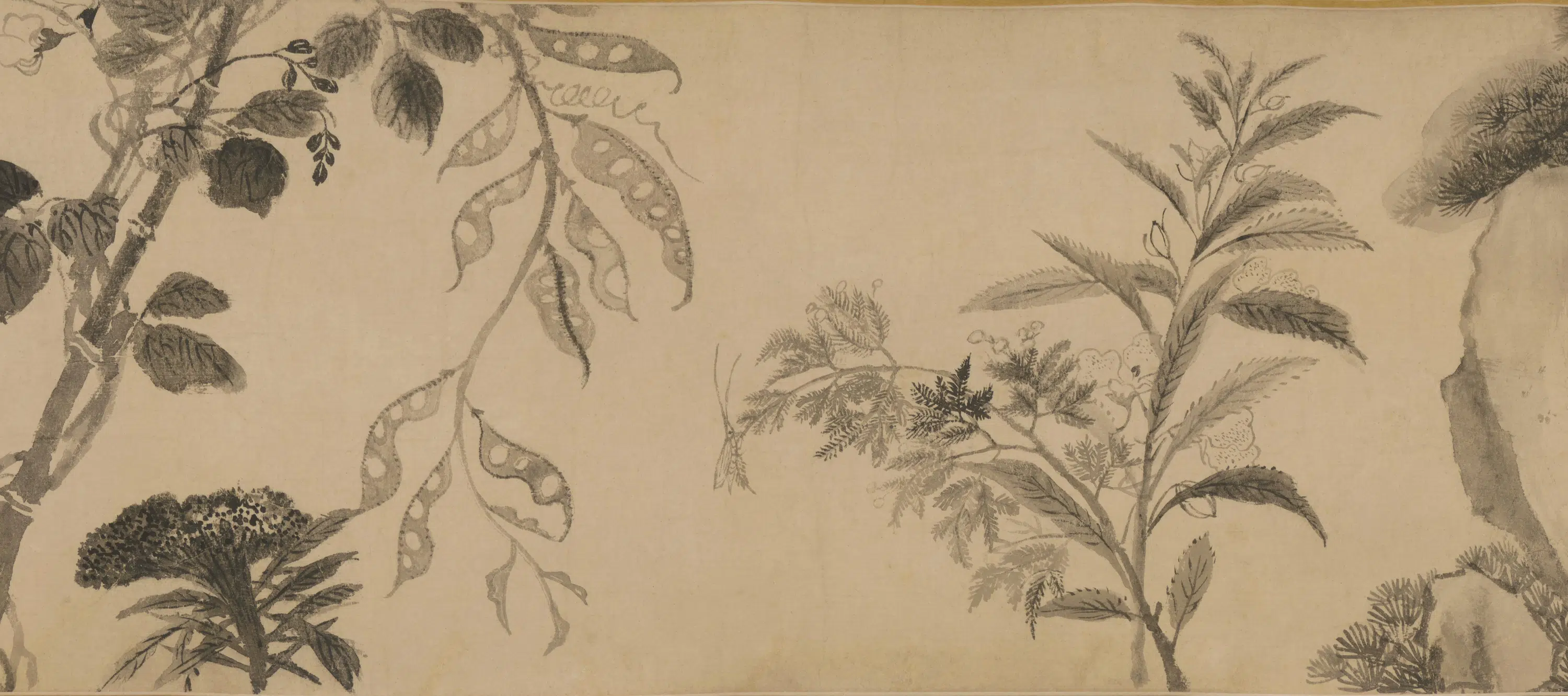 明朝【王铎】《花卉卷》 第4张 明朝【王铎】《花卉卷》 第4张