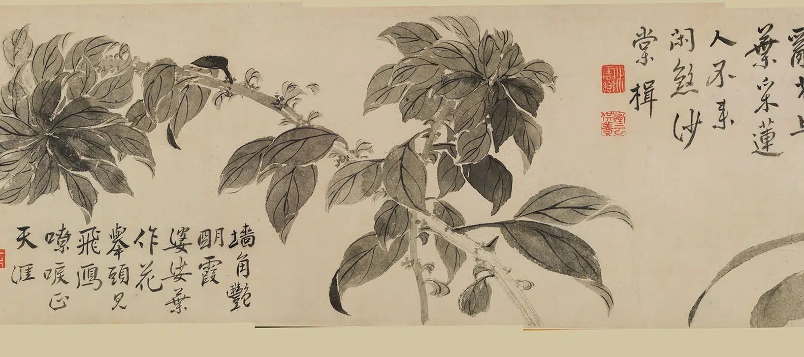清代【边寿民】《花卉图卷》 第3张