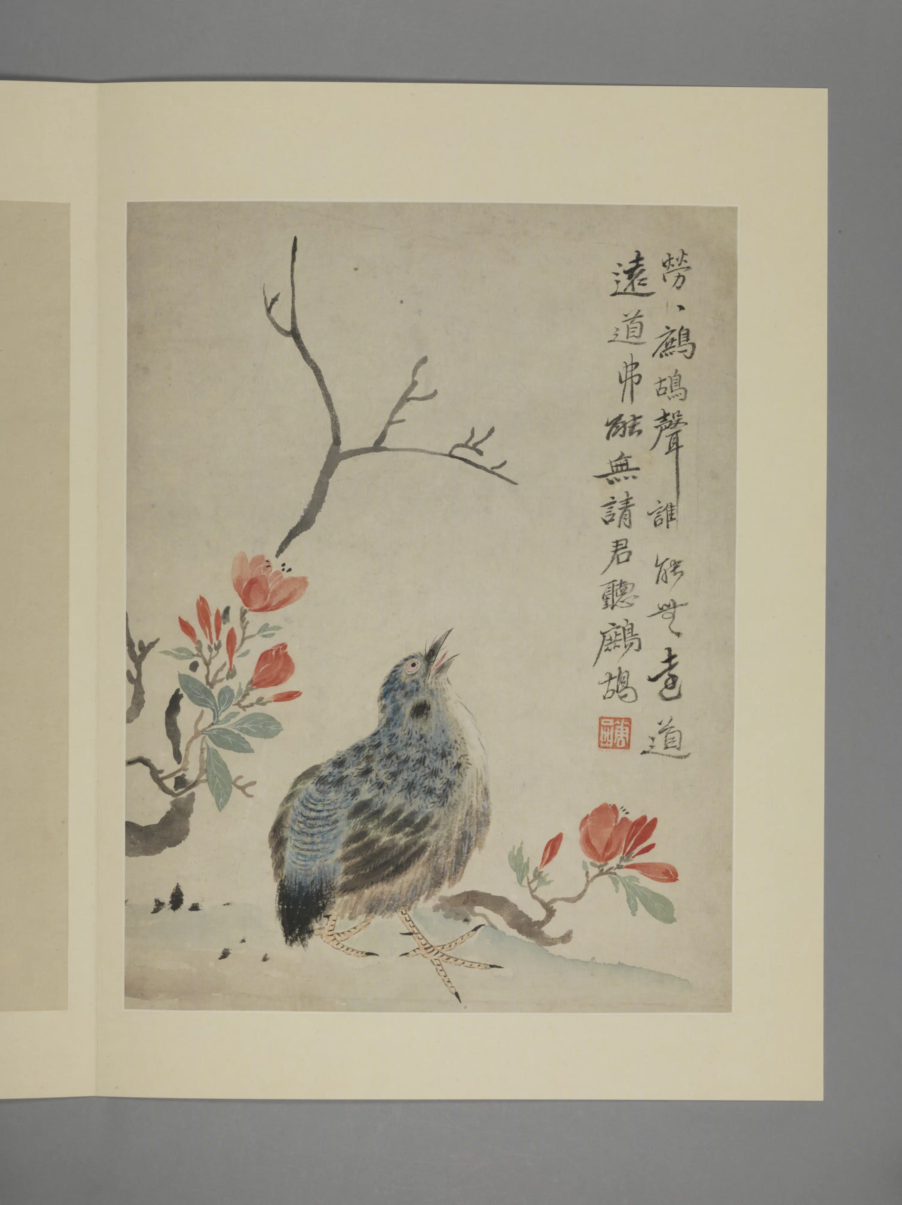 清代【华喦】《花鸟图册（11开）》 第9张