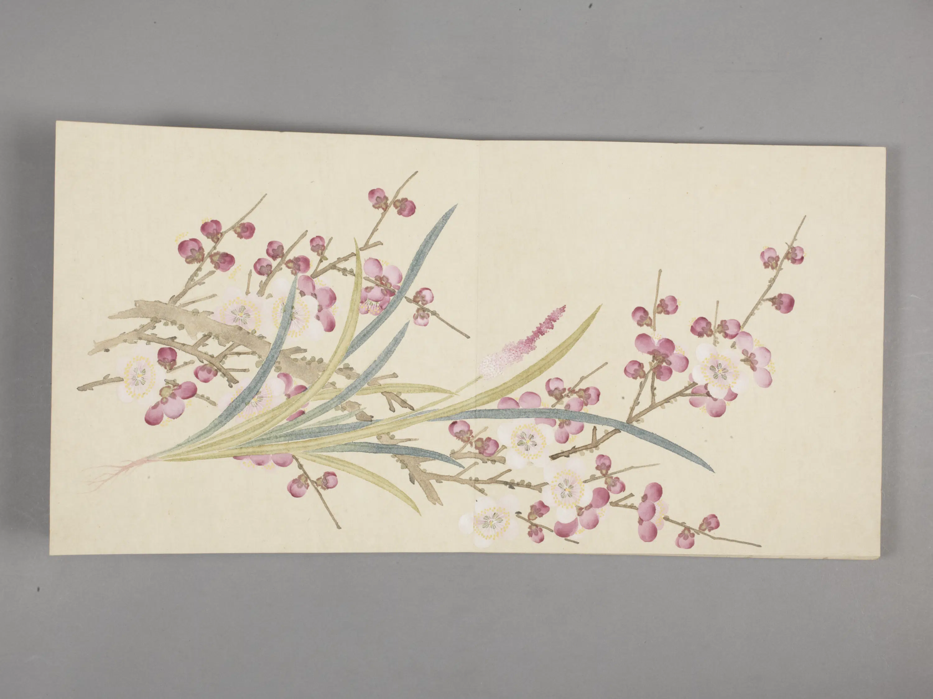 清代【董诰】《花卉小册(11开)》 第11张 清代【董诰】《花卉小册(11开)》 第11张