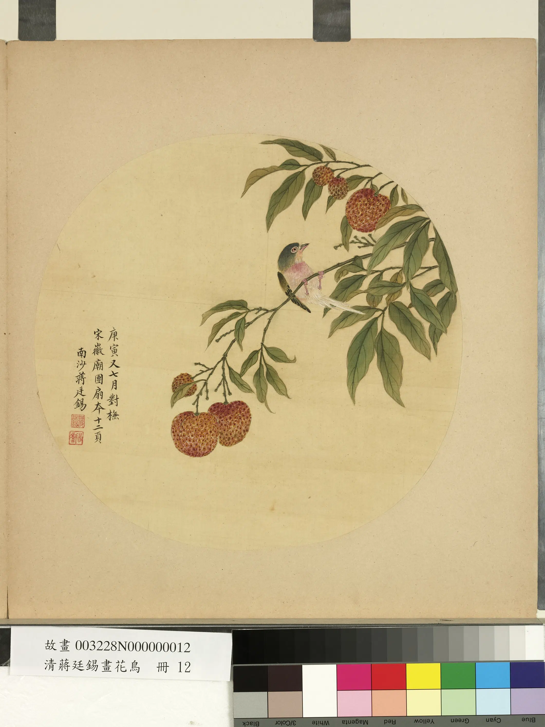 清代【蒋廷锡】《画花鸟册-2》 第9张 清代【蒋廷锡】《画花鸟册-2》 第9张