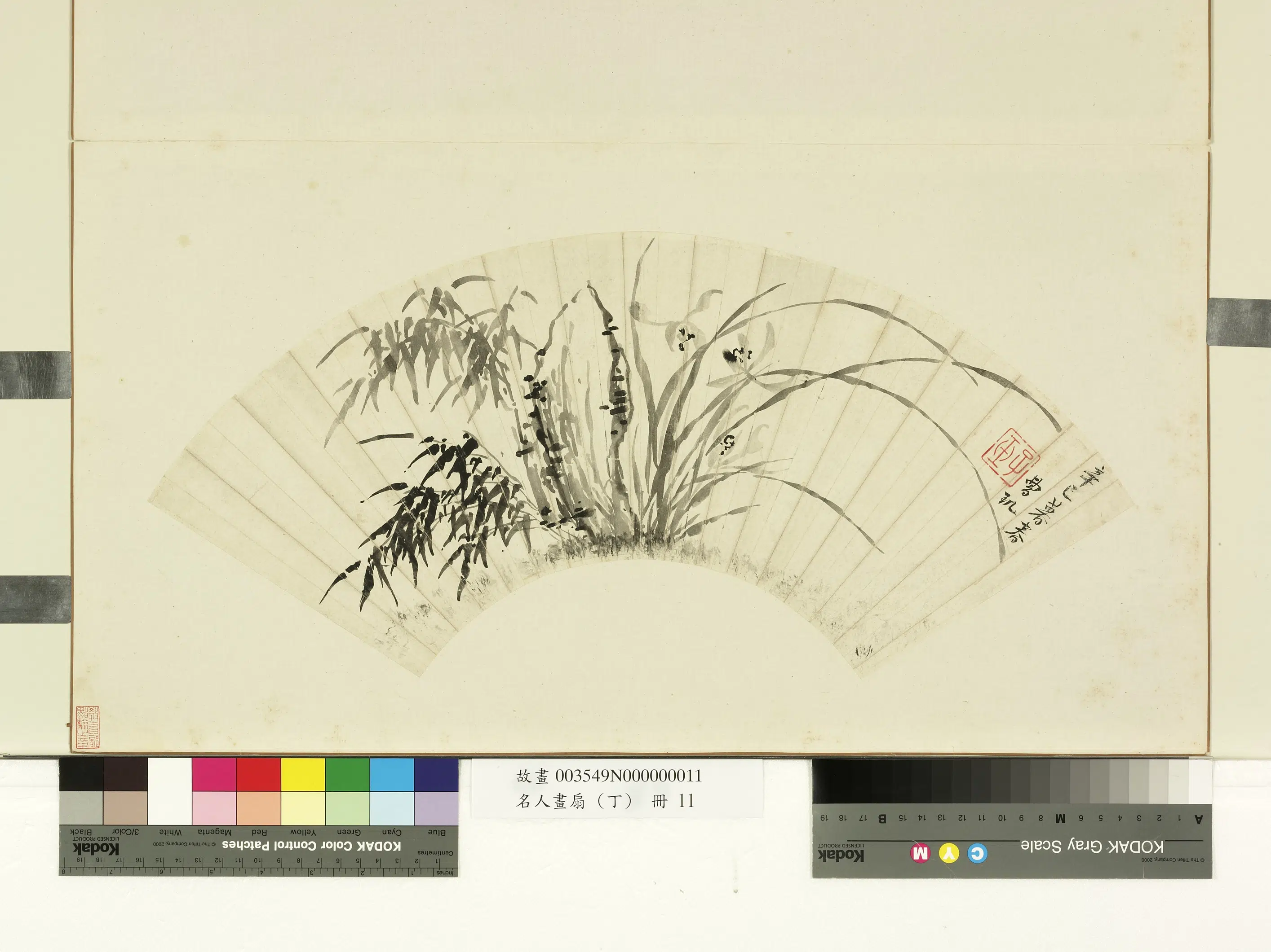 明朝【曹玑】《名人画扇（丁）册-雅兰竹石》