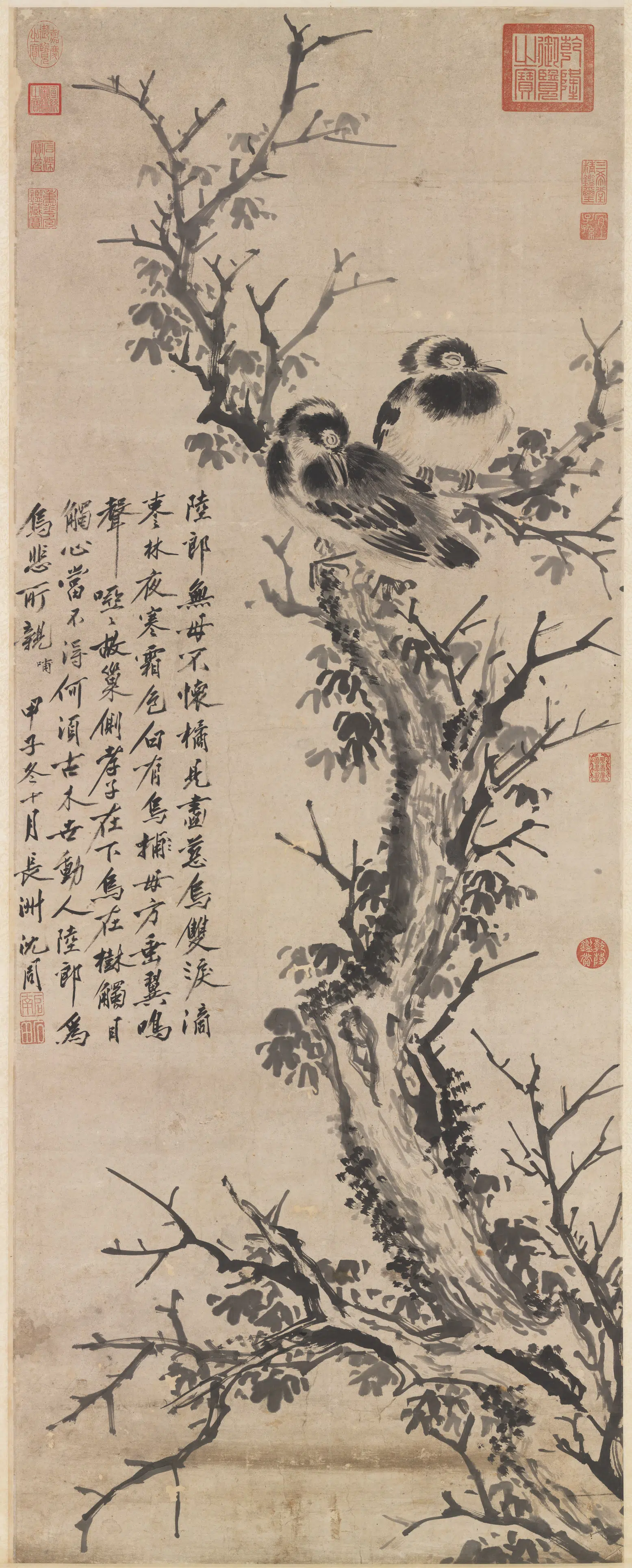 明朝【沈周】《双乌在树图轴》