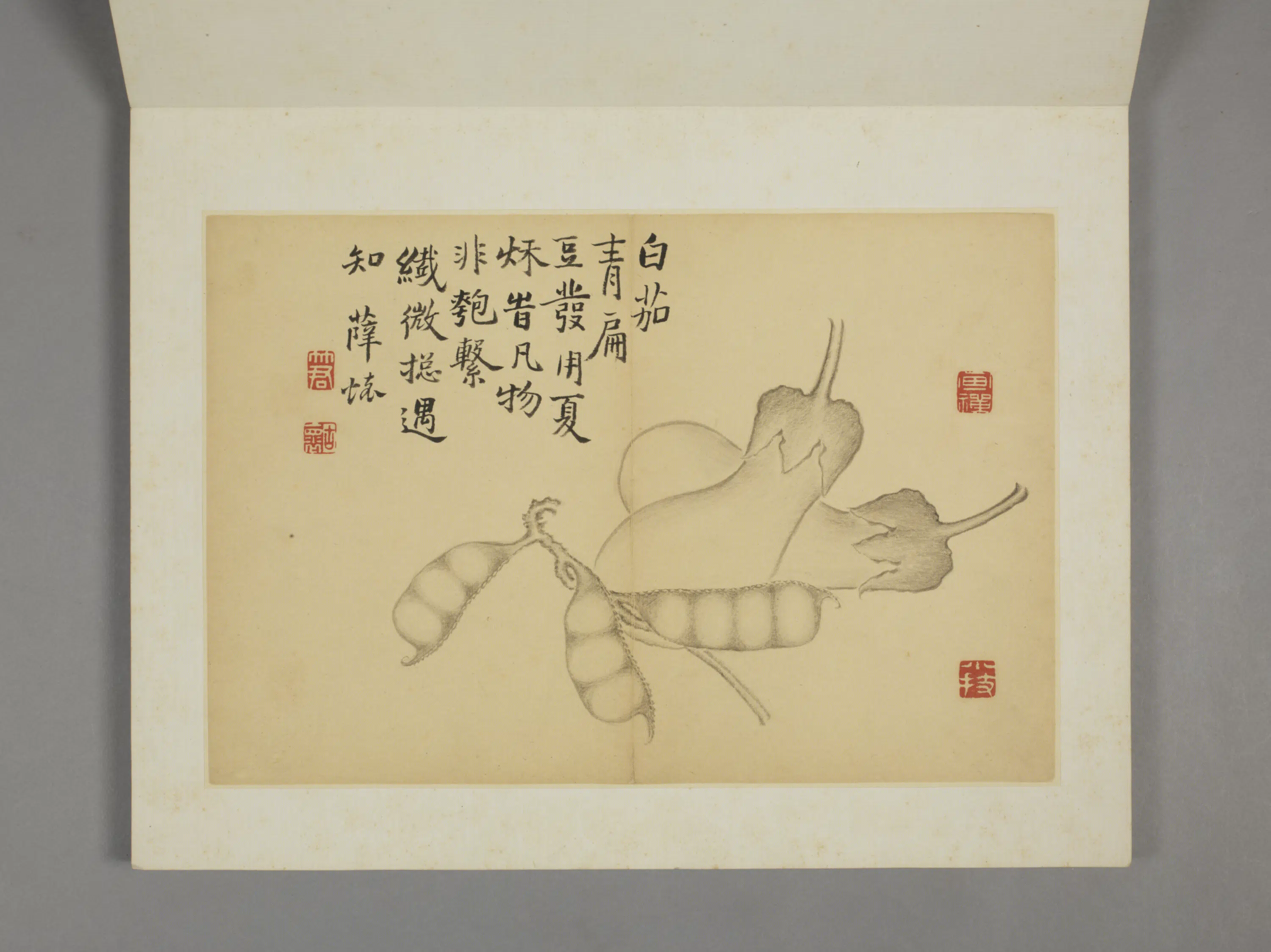 清代【薛怀】《杂画图册》 第11张