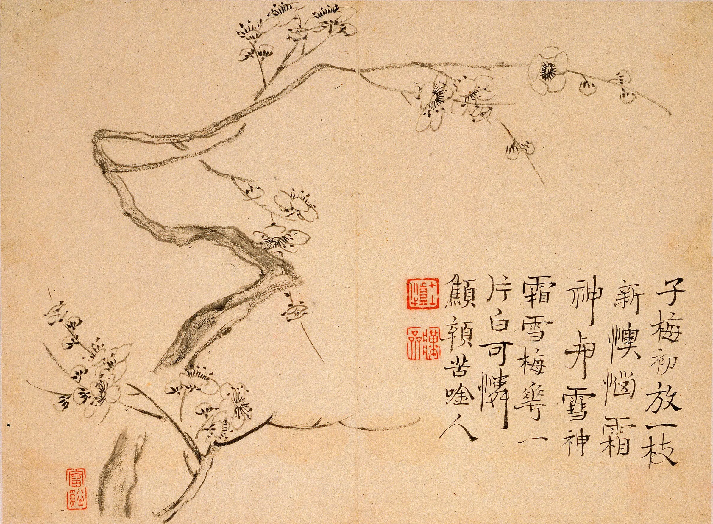 清代【汪士慎】《梅花竹石图册》 第8张