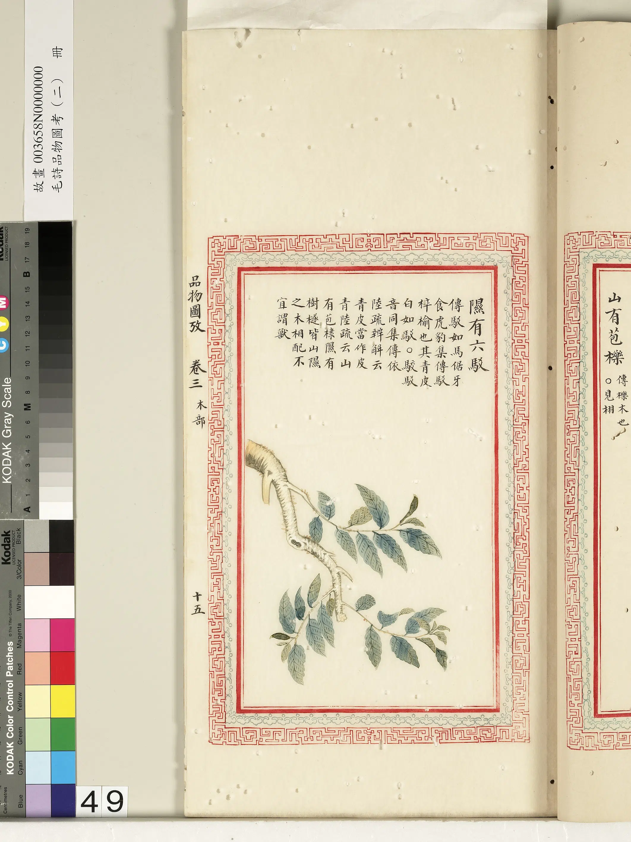 清朝【佚名】《毛诗品物图考（二）册-隰有六驳-2》