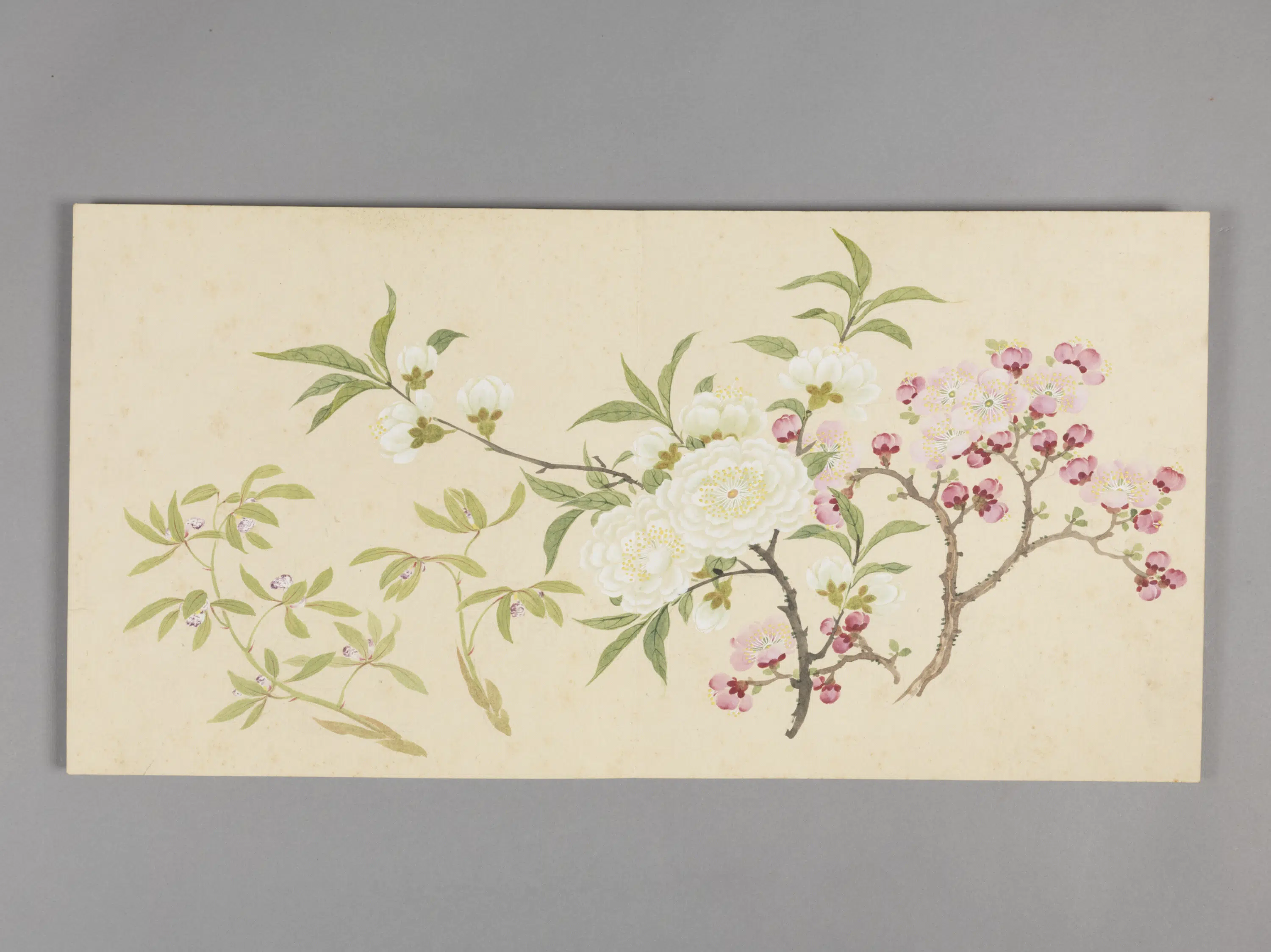 清代【董诰】《四季花卉册（4开）》 第1张