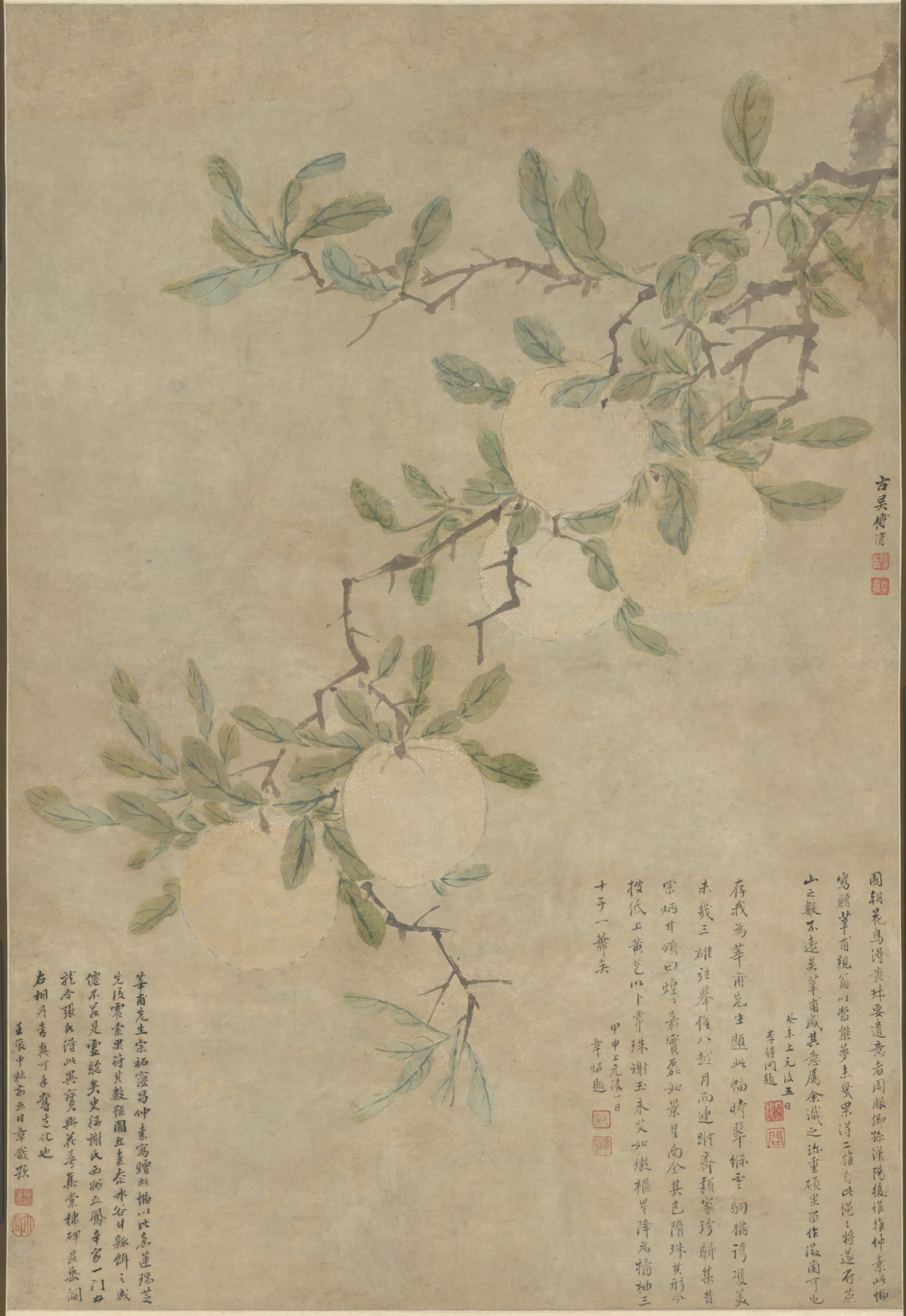 明朝【傅清】《五柚轴》 第1张